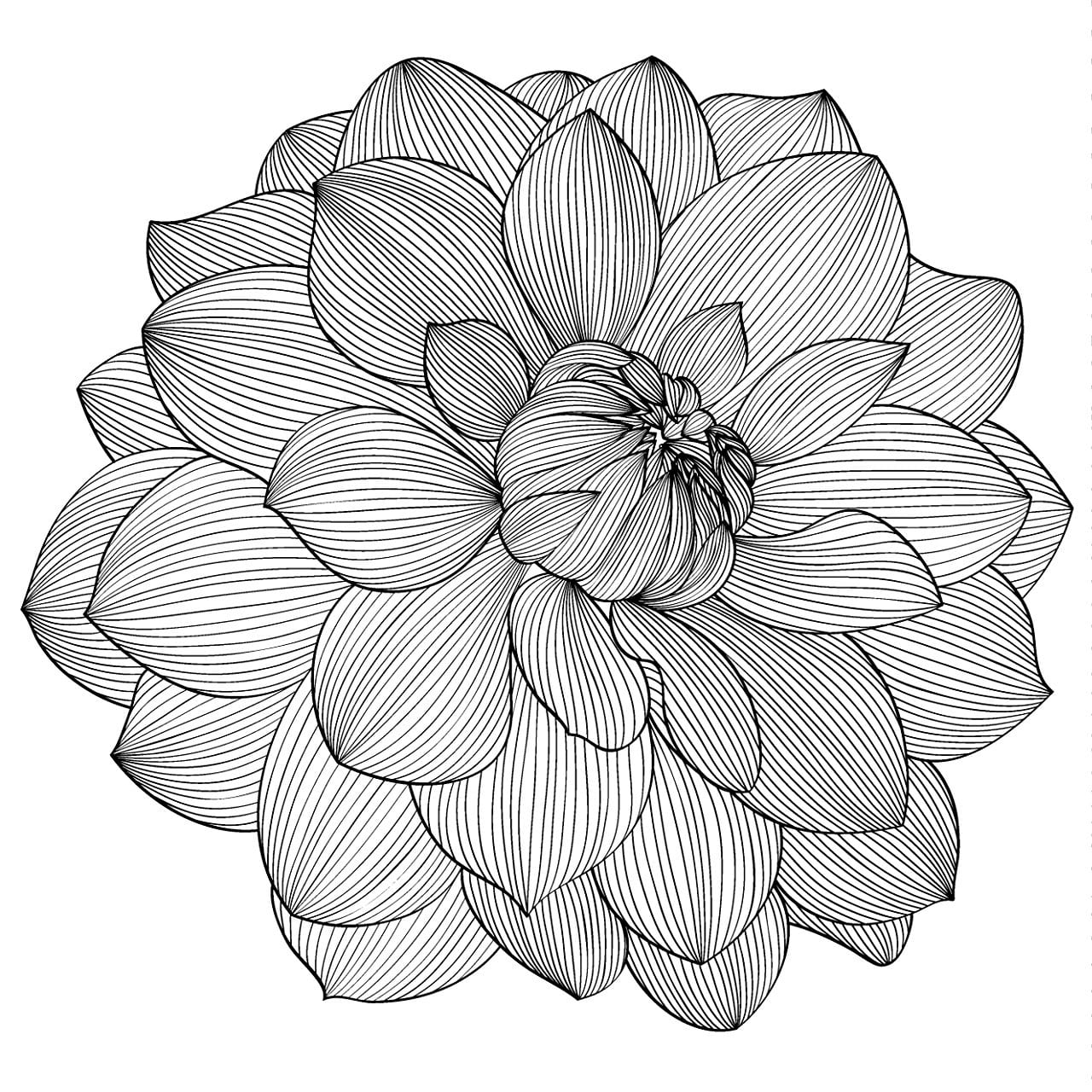 Раскраска-антистресс Экзотические цветы, 70 х 90 см