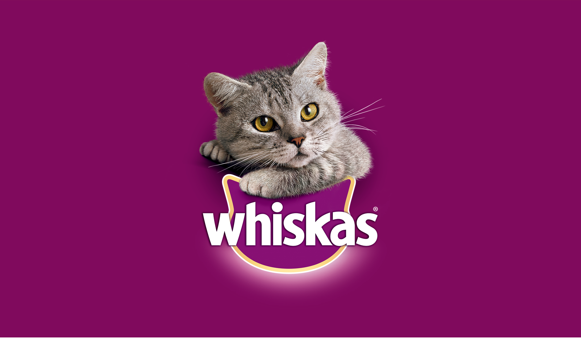 Реклама вискас корм для кошек. Вискас корм лого. Вискас корм логотип. Реклама вискас. Музыка из рекламы вискас