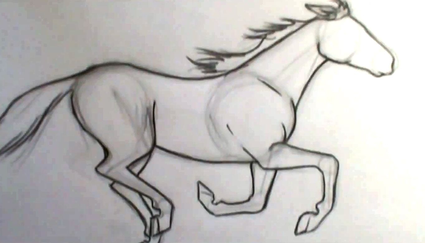 Лошадь поэтапно карандашом - 65 фото