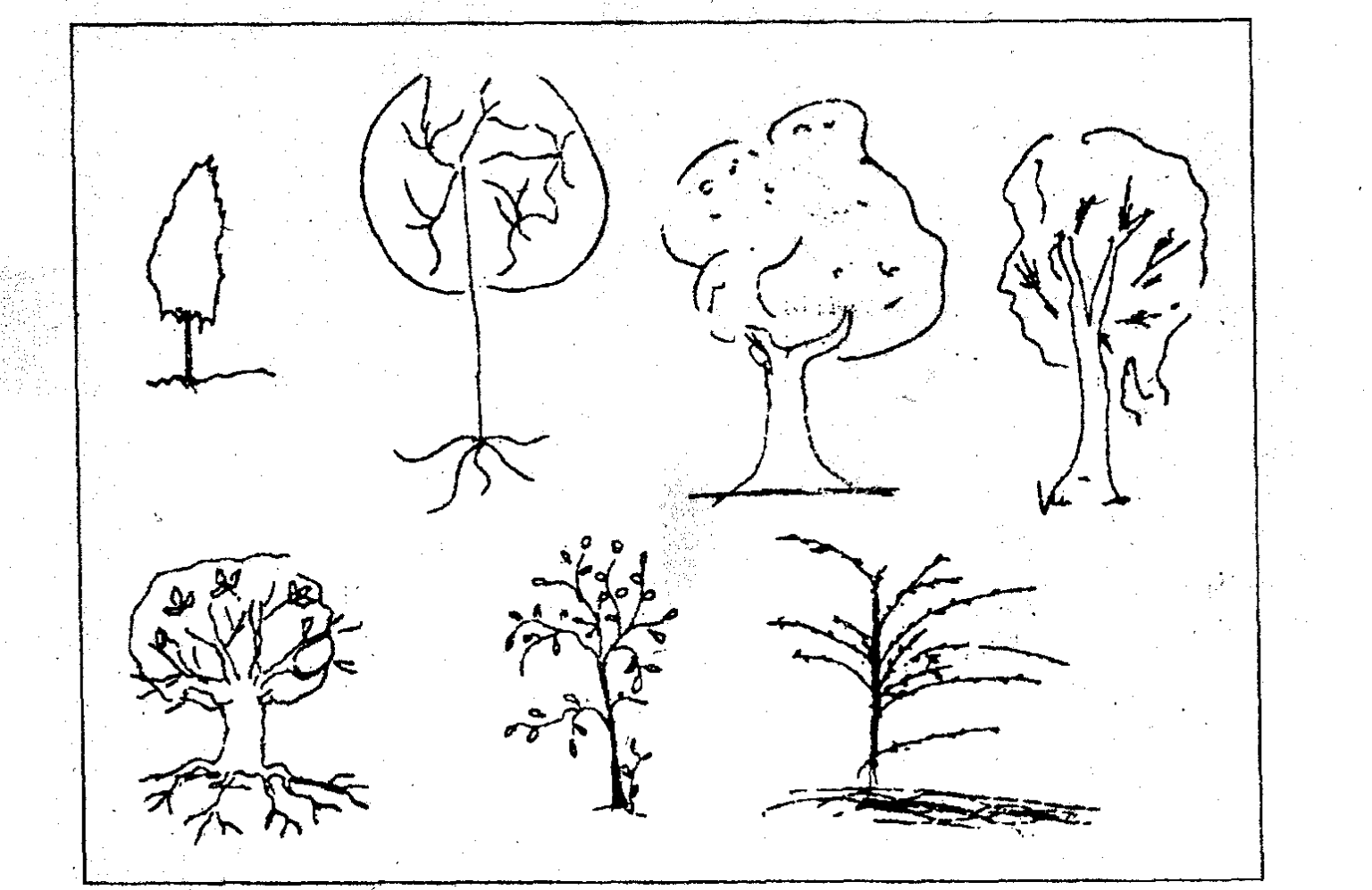 Проективный тест человек. Тест рисунка дерева Кох. Тест с деревьями в картинках. Проективная методика рисования. Интерпретация рисунка дерево.