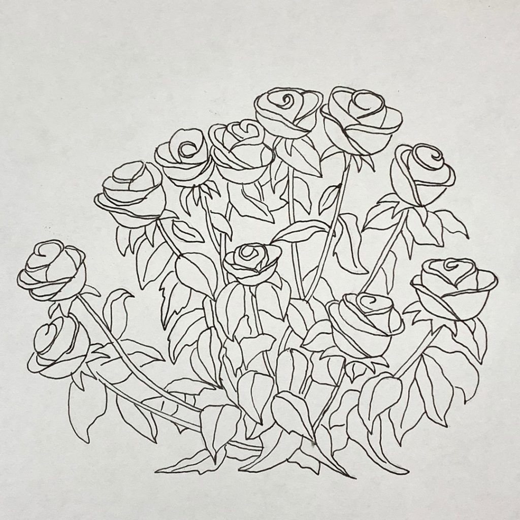 розы куст рисунок карандашом
