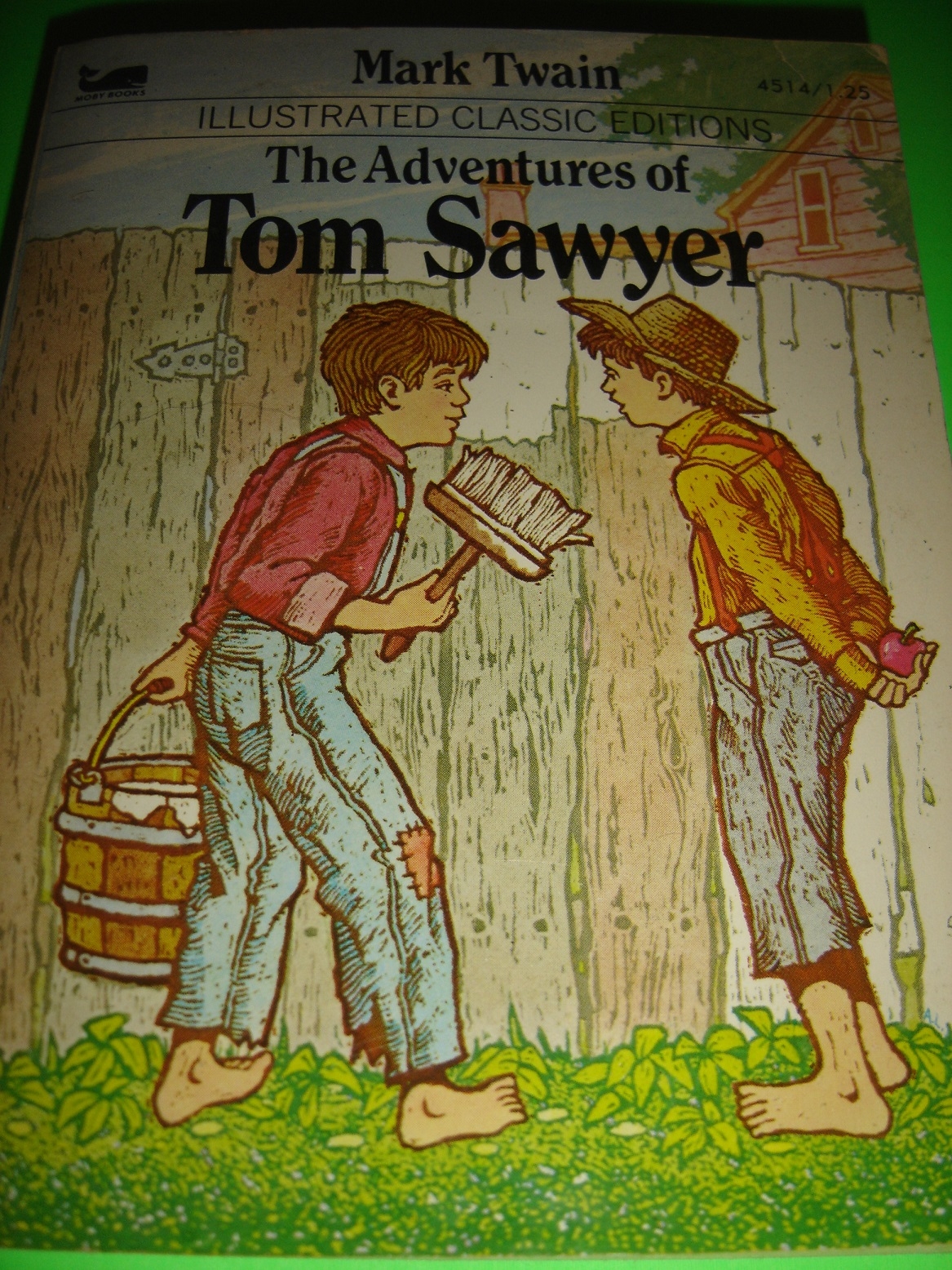 Том сойер рисунок 4 класс. Иллюстрация к рассказу Тома Сойер. Том Сойер иллюстрации к книге. Приключения Тома Сойера иллюстрации к книге. Рисунок к повести приключения Тома Сойера.
