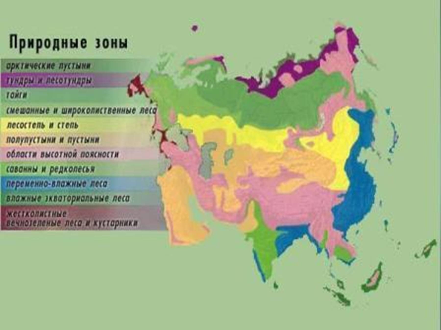 Какие зоны есть в классе. Природные зоны материка Евразия. Климат природных зон Евразии 7 класс. Природные зоны Евразии степь на карте. Карта природных зон зон Евразии.