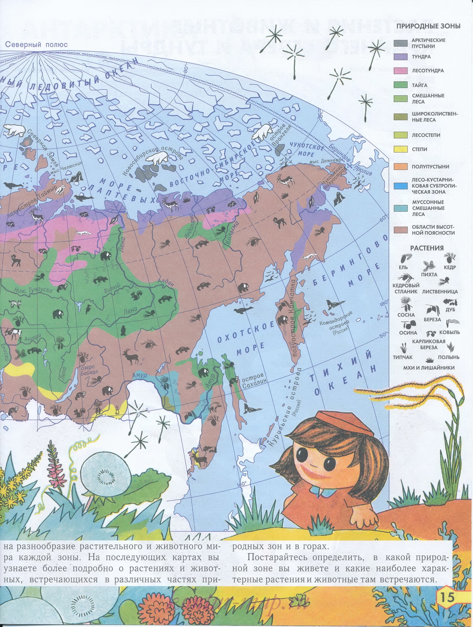Карта удивительный мир. Карта природных зон. Карта природных зон России. Животные на карте природных зон.
