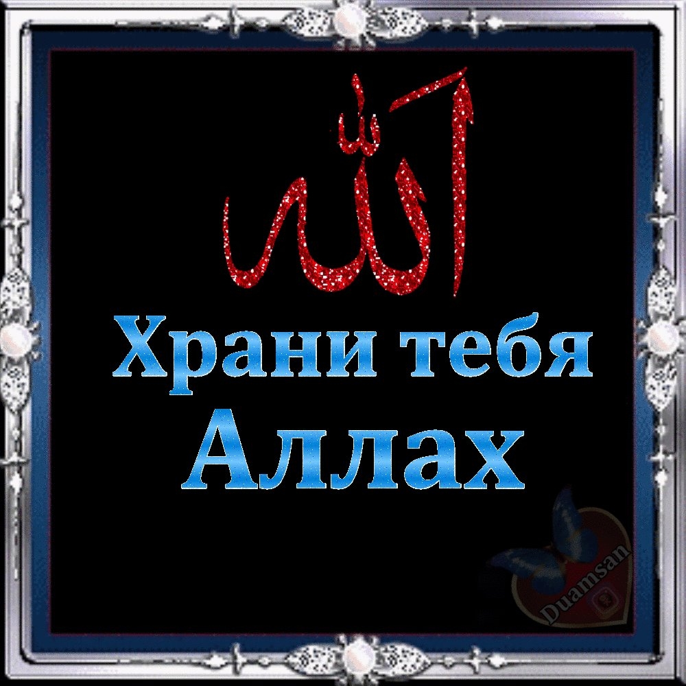 картинки на узбекском языке
