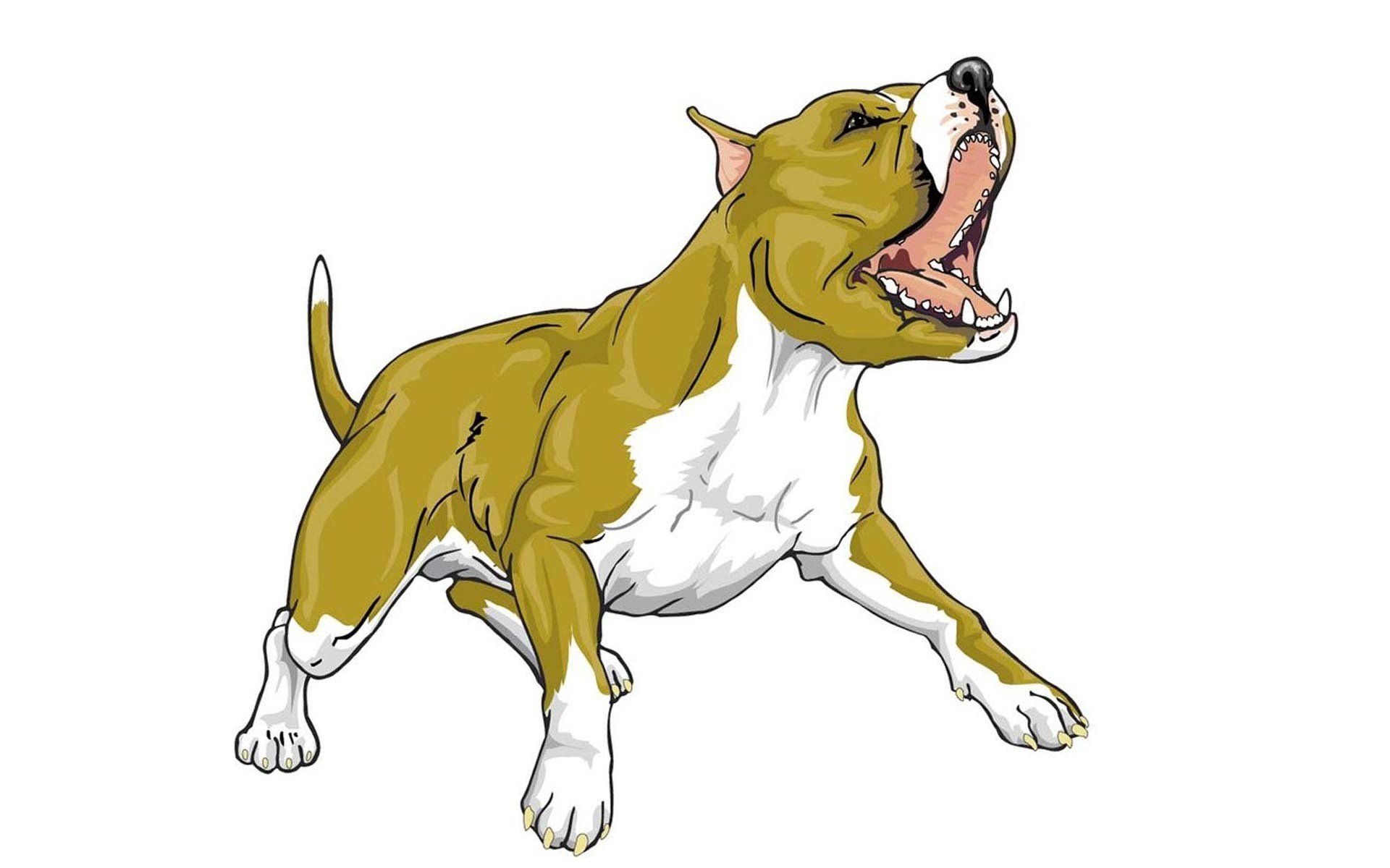 Лающая собака картинки. Стаффордширский терьер вектор. Собака рисунок. Злая собака рисунок. Векторное изображение собаки.
