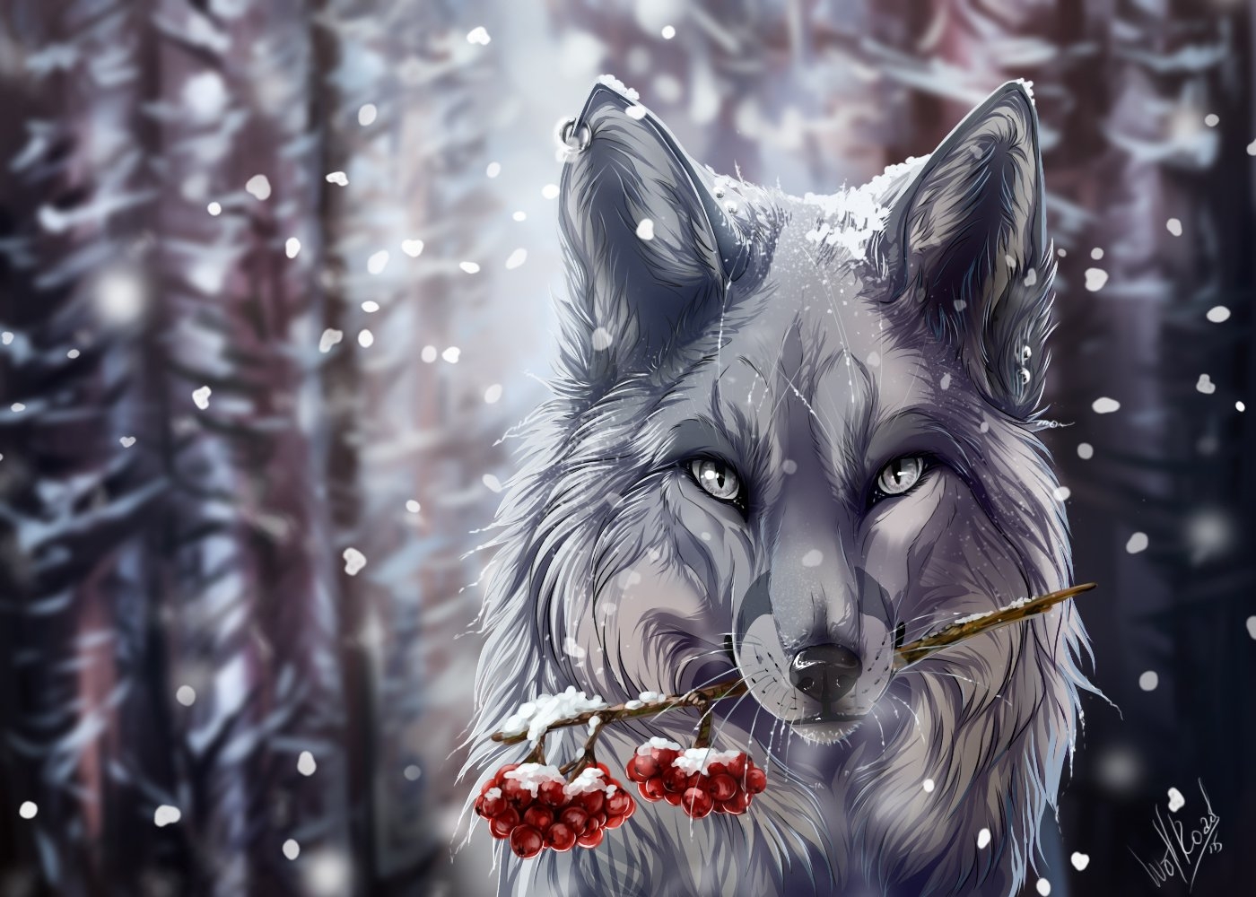 Фото Волк и белоснежная волчица - картинки