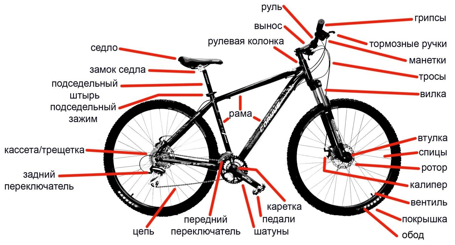 устройство эксцентрика колеса велосипеда
