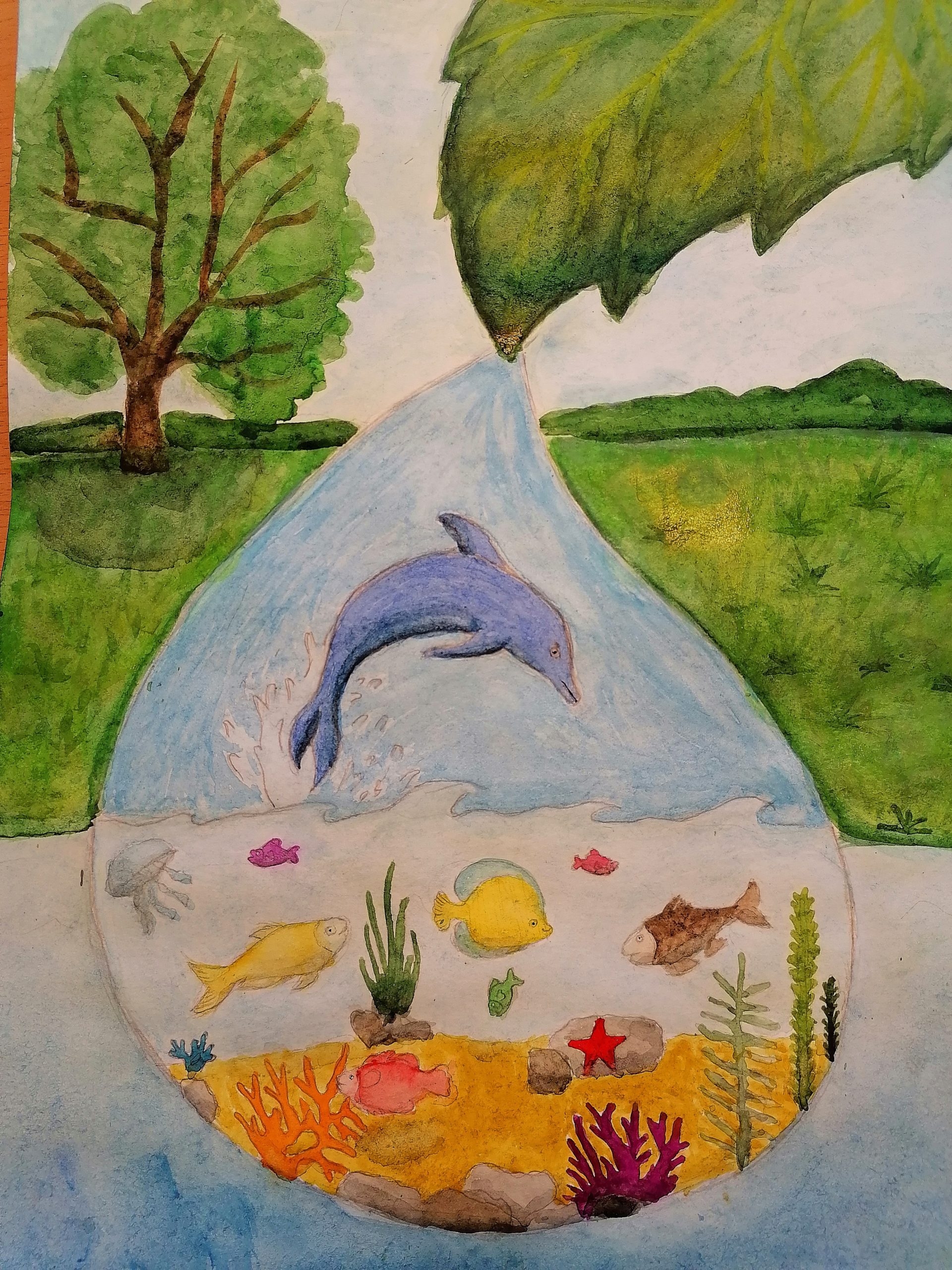 Мир воды название рисунков. Экология рисунок. Рисунок на тему экология. Рисование на тему экология. Экологические рисунки для детей.
