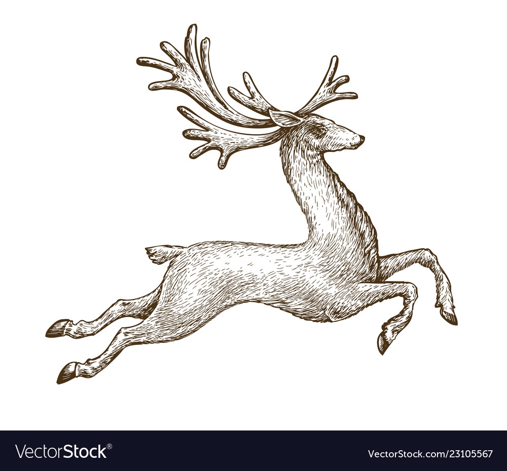 Стоковые фотографии по запросу Scythian deer