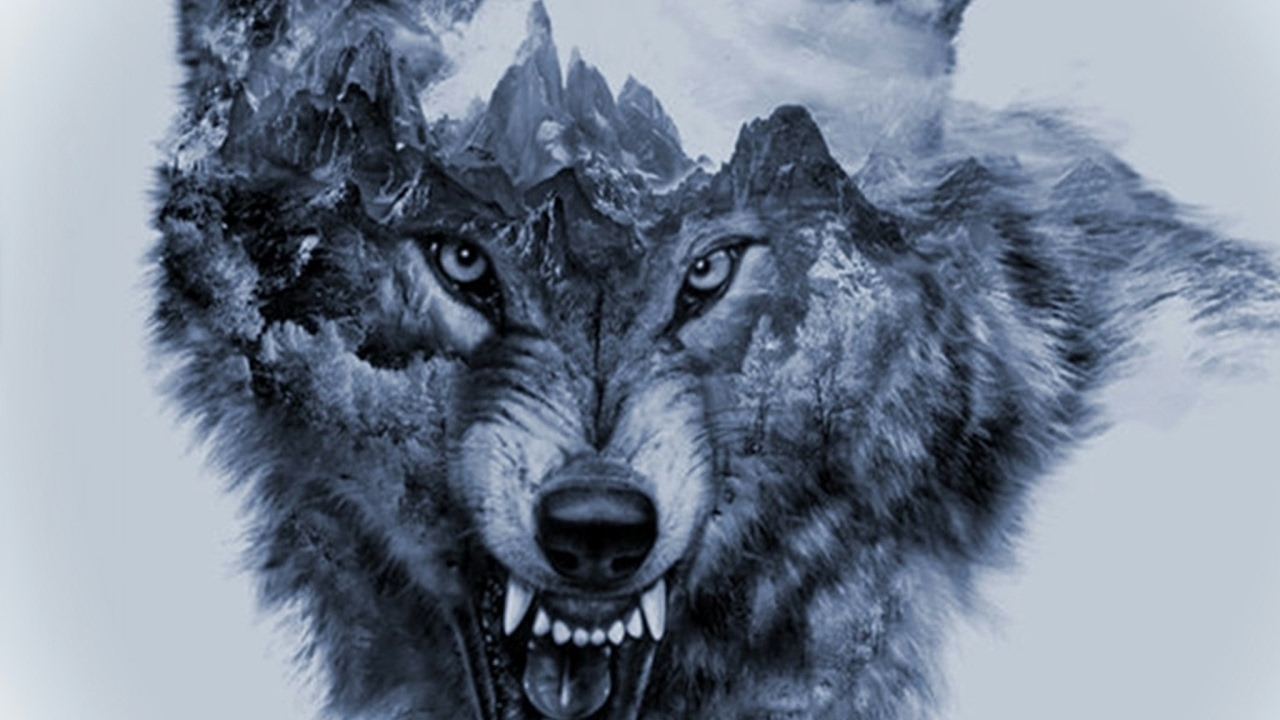 Волк на телефон оскал. Оскал волка. Злой волк. Тату волк. Голова волка.