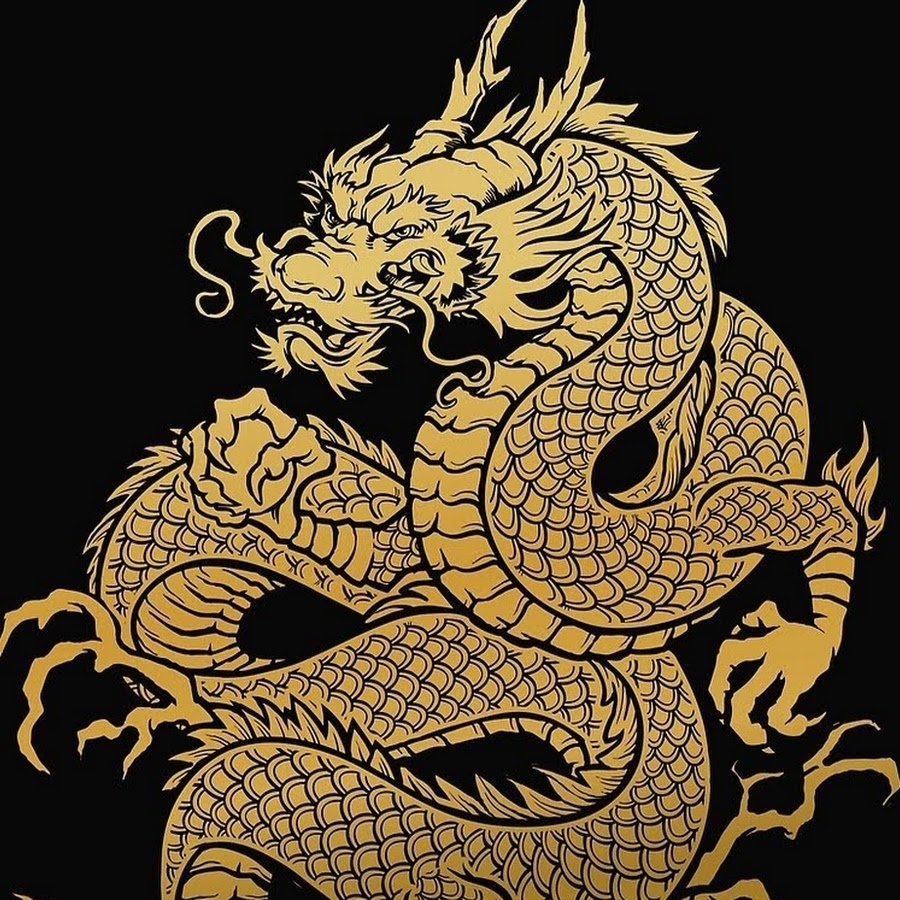 Asia dragon. Золотой дракон Япония. Золотой дракон Китай. Сюаньлун черный дракон. Золотой китайский дракон арт.
