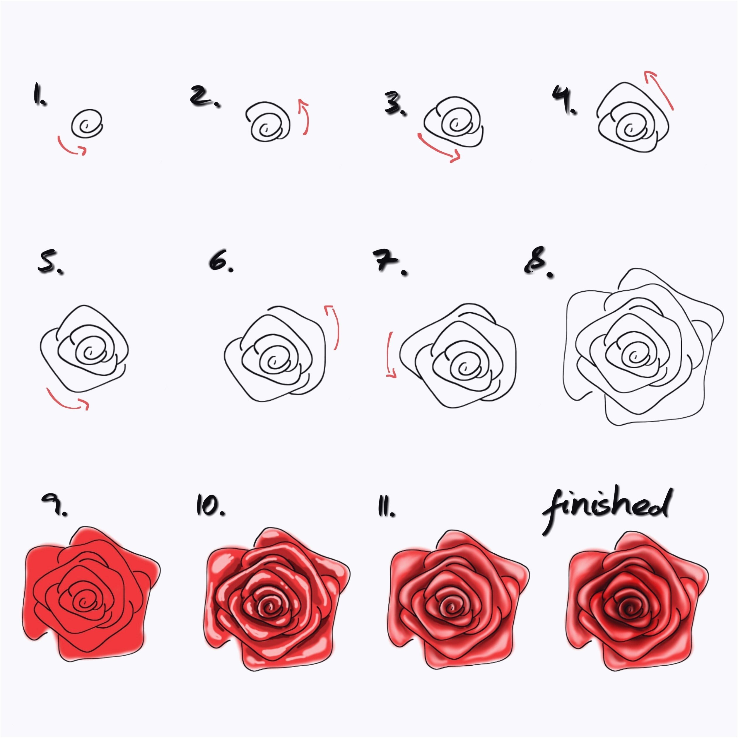 Как нарисовать розу карандашом — 5 поэтапных уроков для начинающих