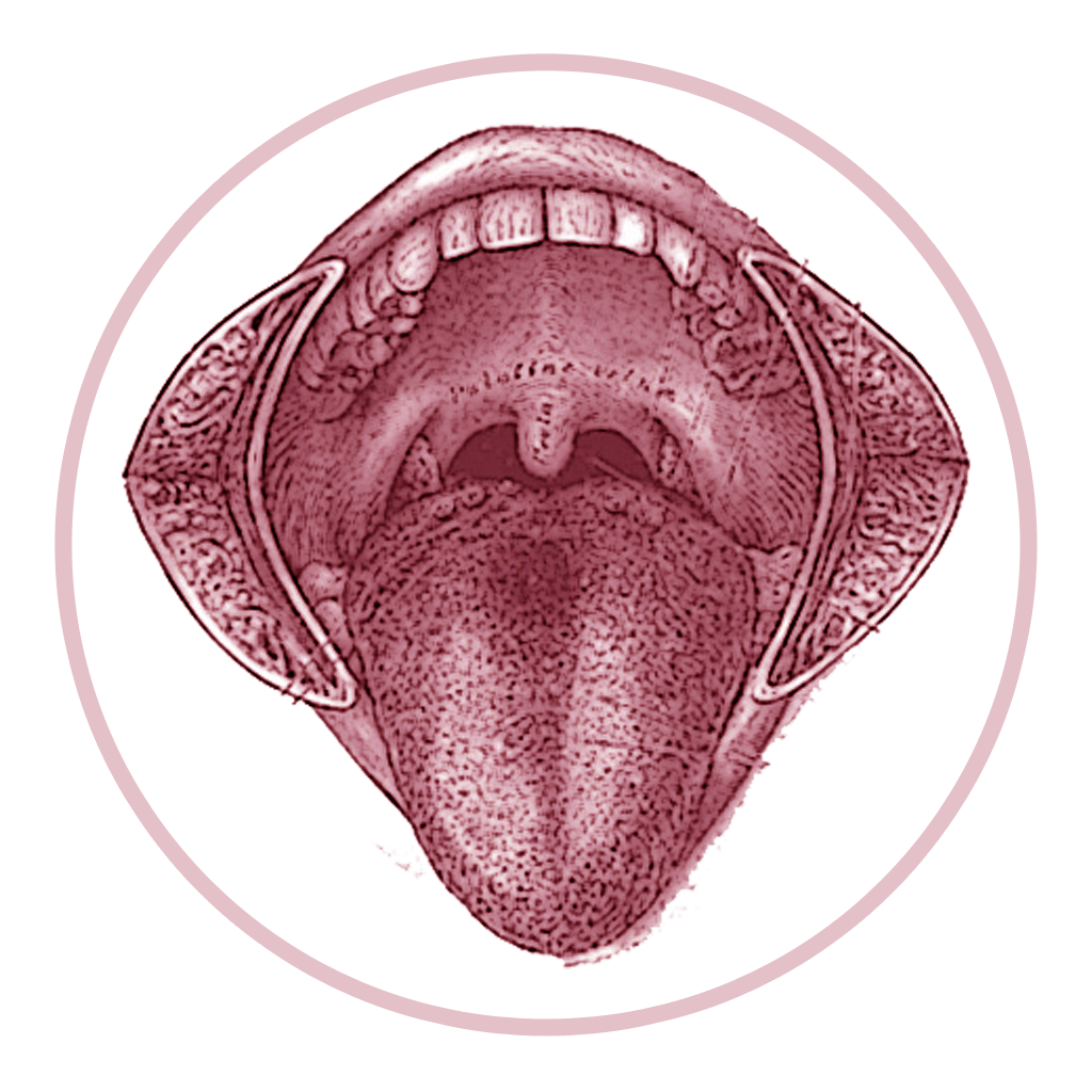 Задняя полость рта. Воспаление на корне языка.