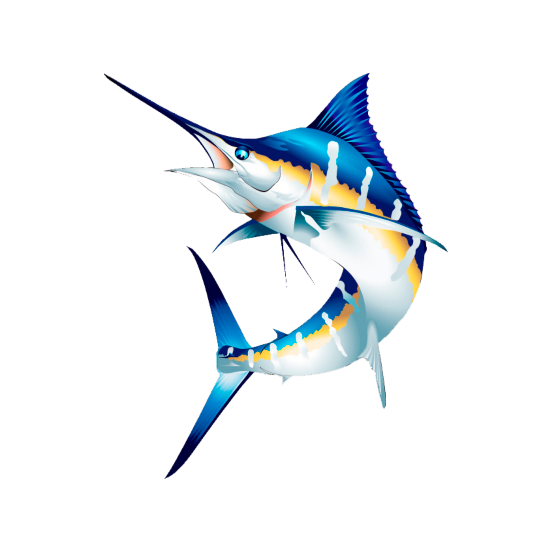 Парусник рыба Марлин. Голубой Марлин рыба. Рыба меч и Марлин. Атлантический голубой Марлин. Рыба меч детям
