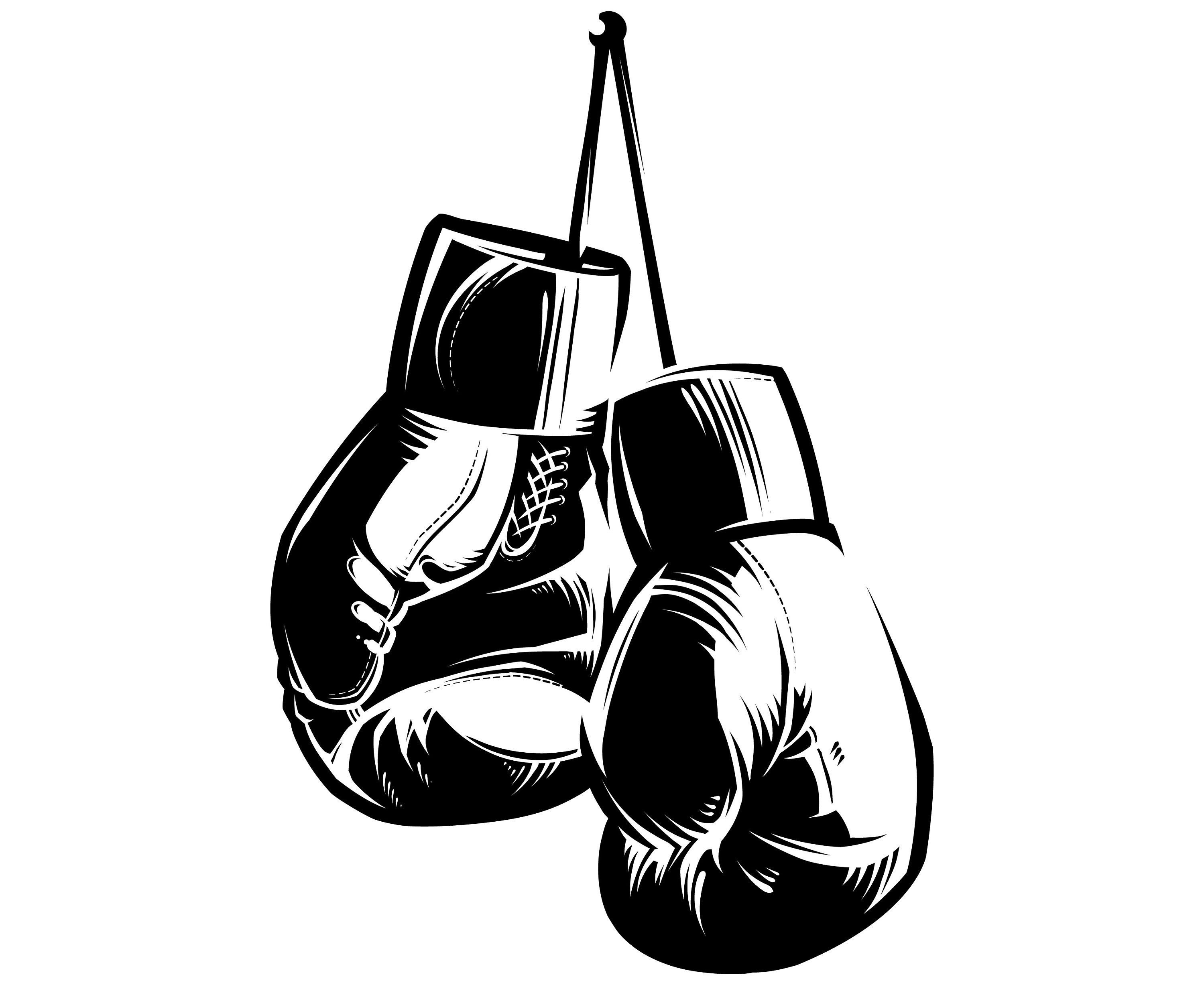 Raja Boxing Боксерские Перчатки Тайский Бокс 