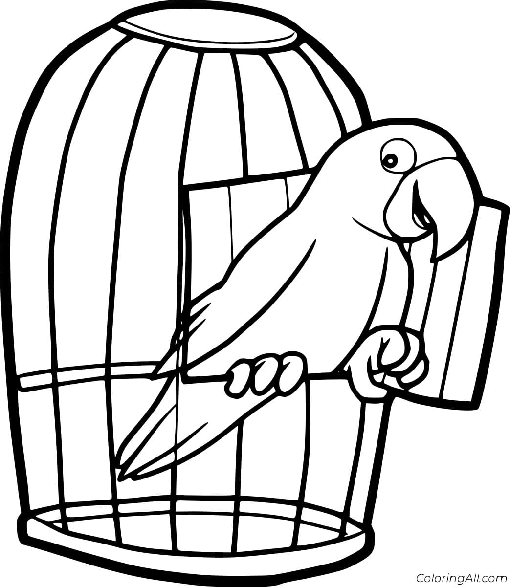 Скачать Клетка Раскраска попугай домашней канарейки - клетка для птиц 0.51 MB | 1024*1448