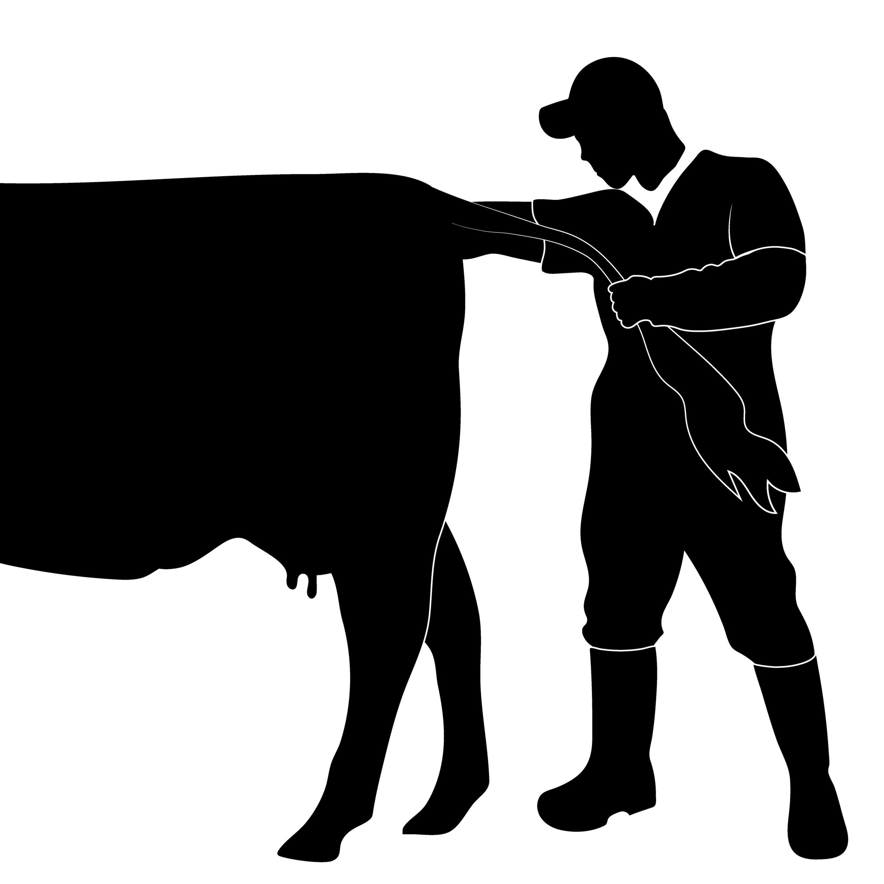 Человек е корову. Силуэт коровы. Корова значок. Силуэт КРС. Силуэты крупного рогатого скота.