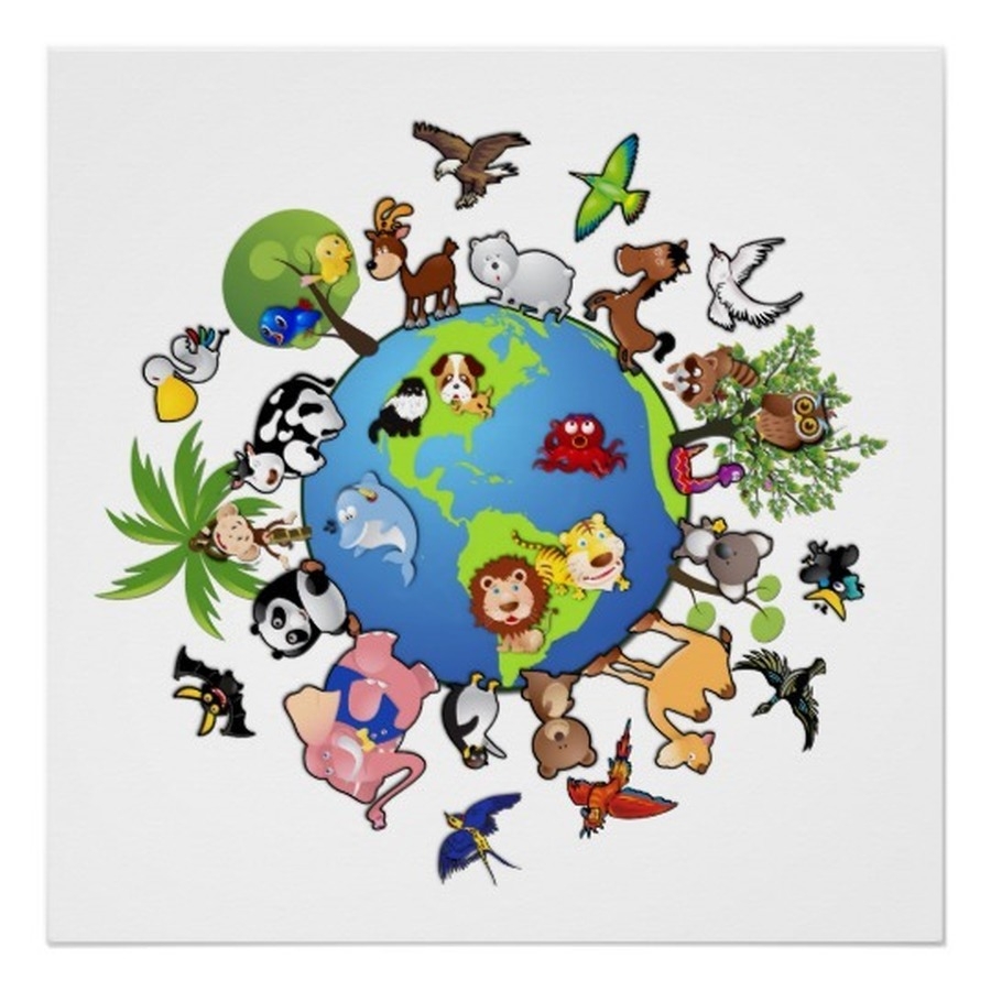 На круглой планете летает текст круглый ветер. Планета земля с животными. Животные нашей планеты для детей. Обитатели земли для детей. Планета земля с животными и растениями.
