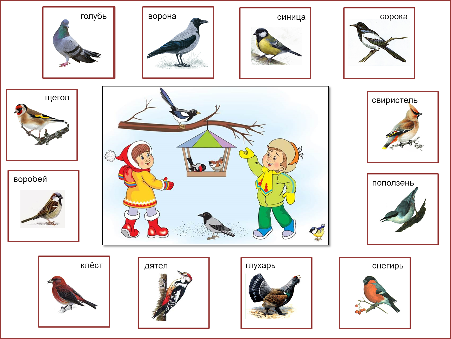 Зимующие птицы для дошкольников. Зимующие птицы карточки. Детям о зимующих птицах в детском саду. Перелетные и зимующие птицы для детей.