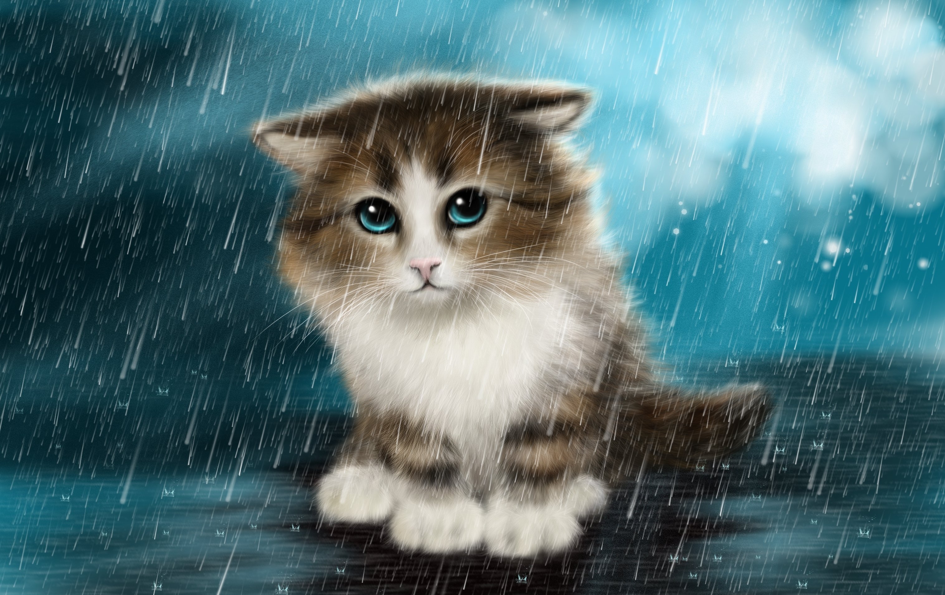 Забавные фотографии плачущих кошек
