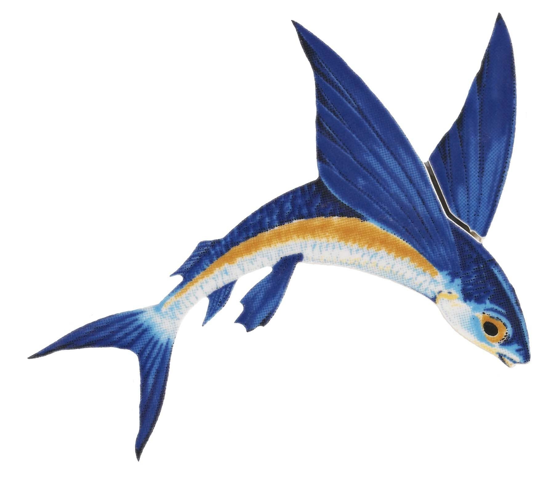 Крылья летучей рыбы. Летучая рыба биплан. Летающая рыба. Рыба с крыльями. Летающая рыба с крыльями.
