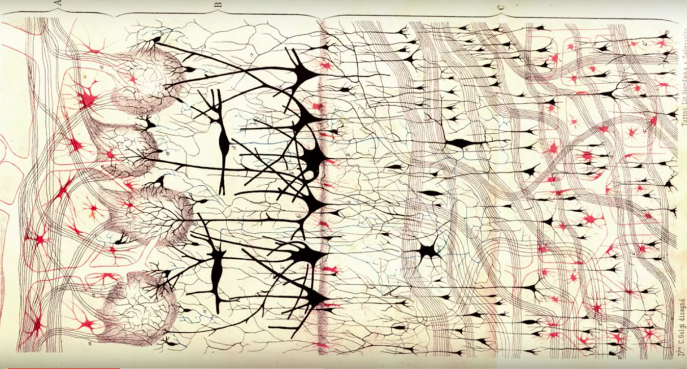 Изображение человека нейросеть. Нейронная сеть. Нейронная сеть мозга. Мозг нейросети. Нейронное рисование.