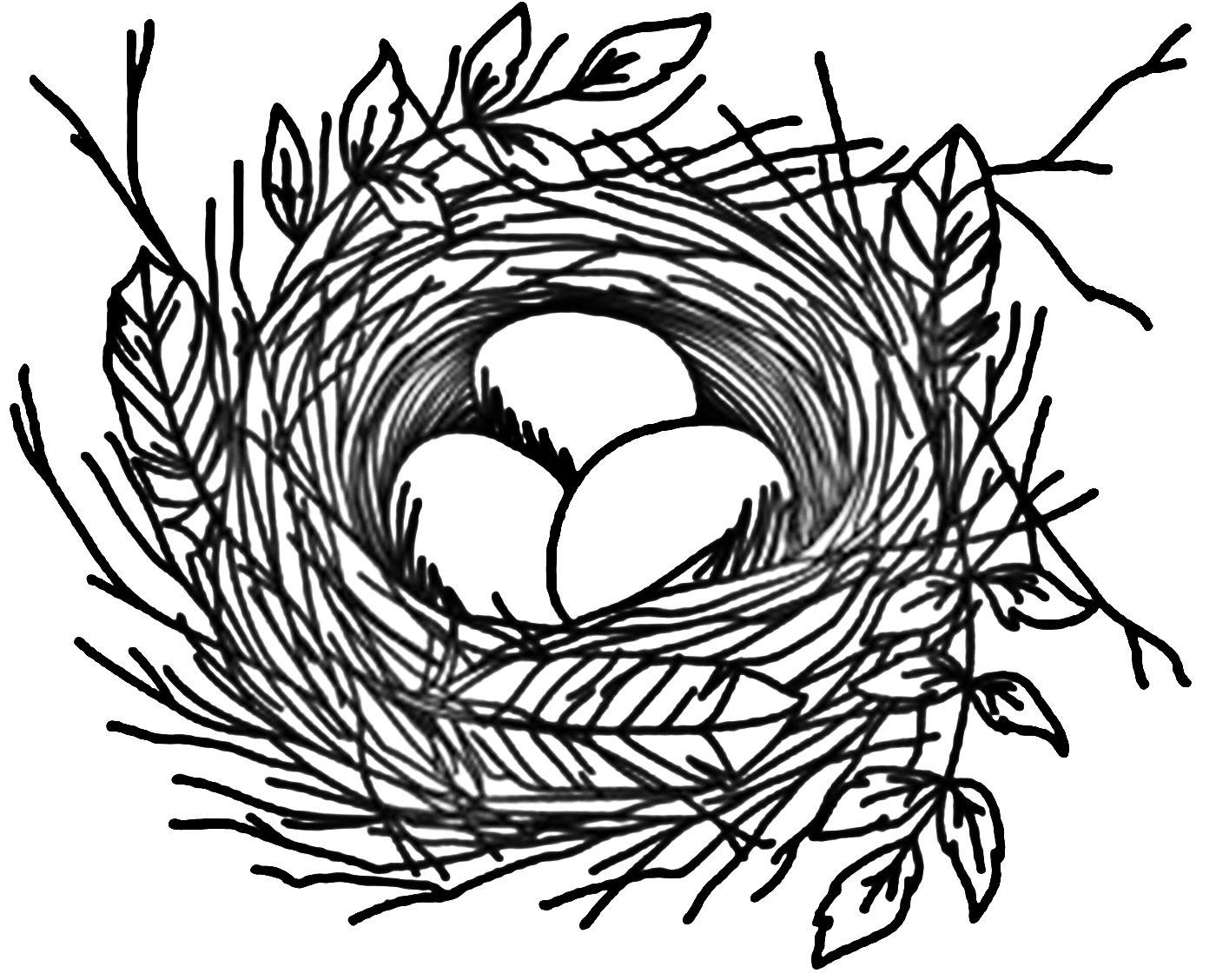 Гнездо для птиц для детей. Гнездо картинка для детей. Гнездо птицы картинки для детей. Нарисовать гнездо. Гнездо трафарет.