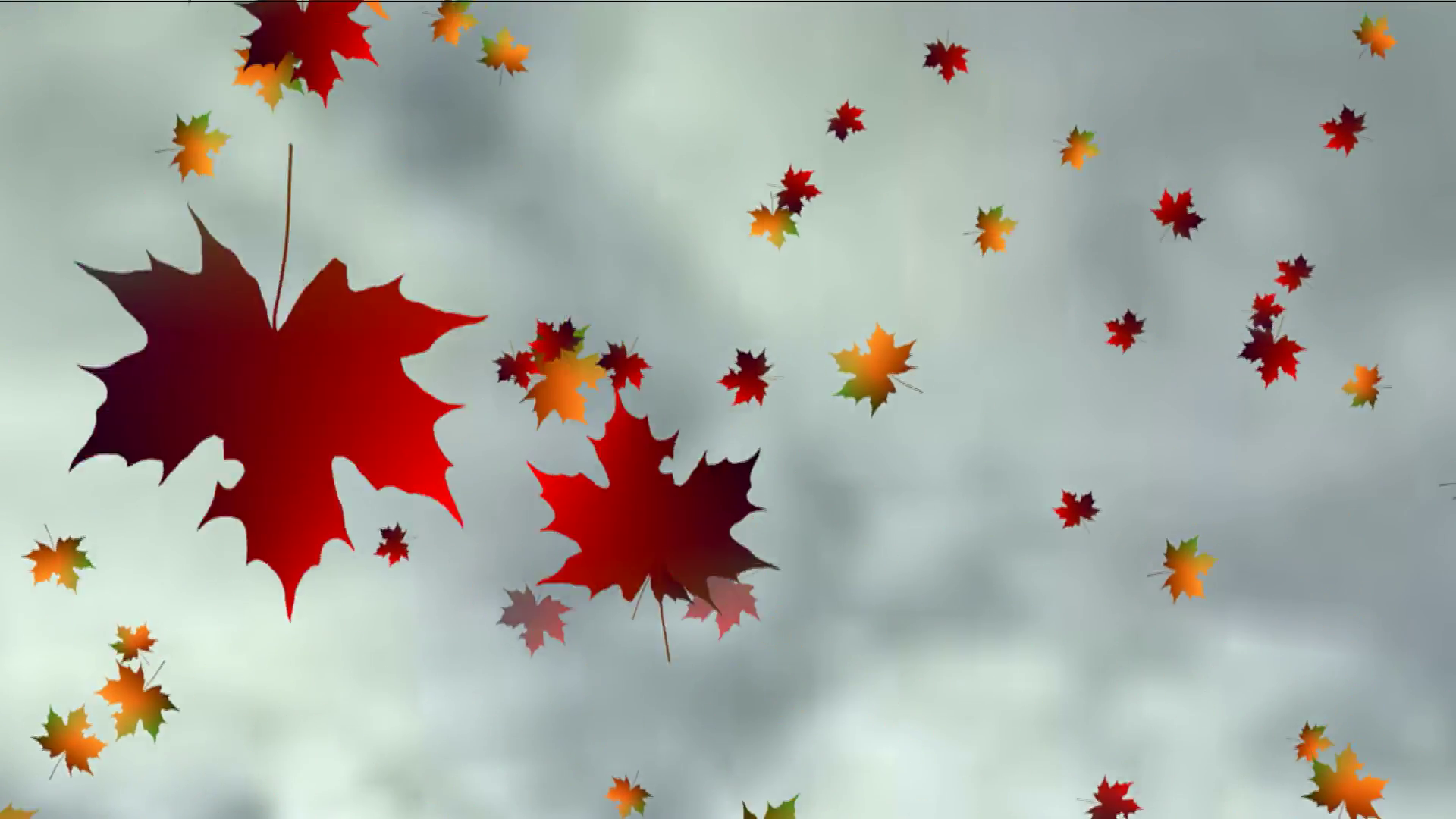 Книга падают листья. Падающие листья. Листопад для детей. Осенний листопад. Падающие осенние листья.
