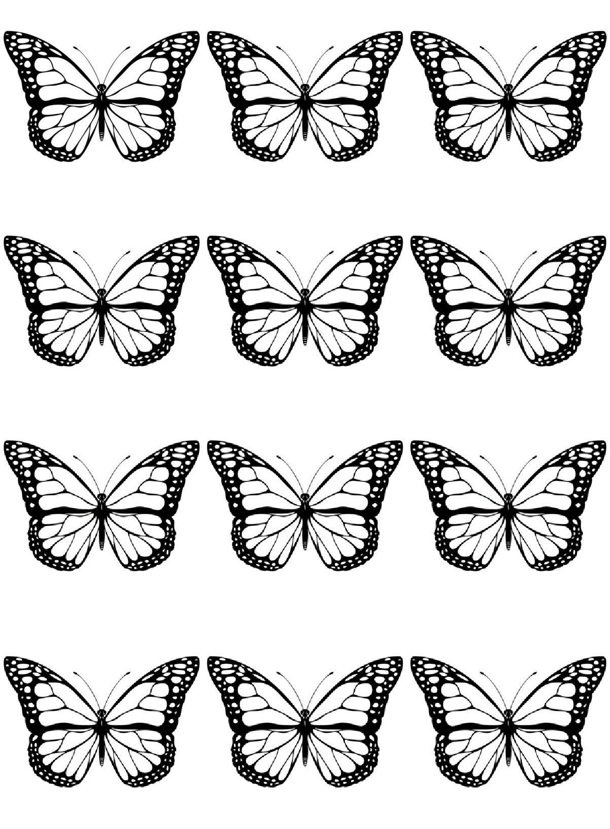 Шаблон бабочек для печати. Трафареты бабочек для декора. Бабочка шаблон для печати. Контуры бабочек для декора. Бабочка контур.
