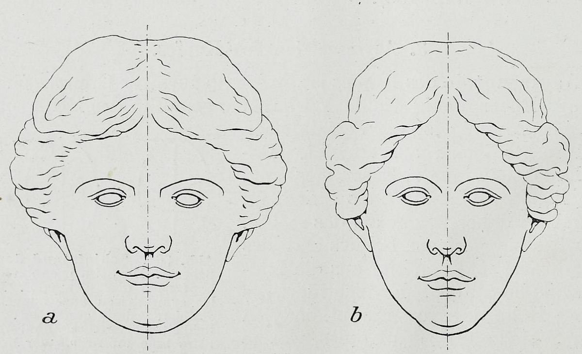 Симметричное изображение. Ось симметрии лица. Осевая симметрия человека. Симметрия и асимметрия лица человека. Осевая симметрия лица.