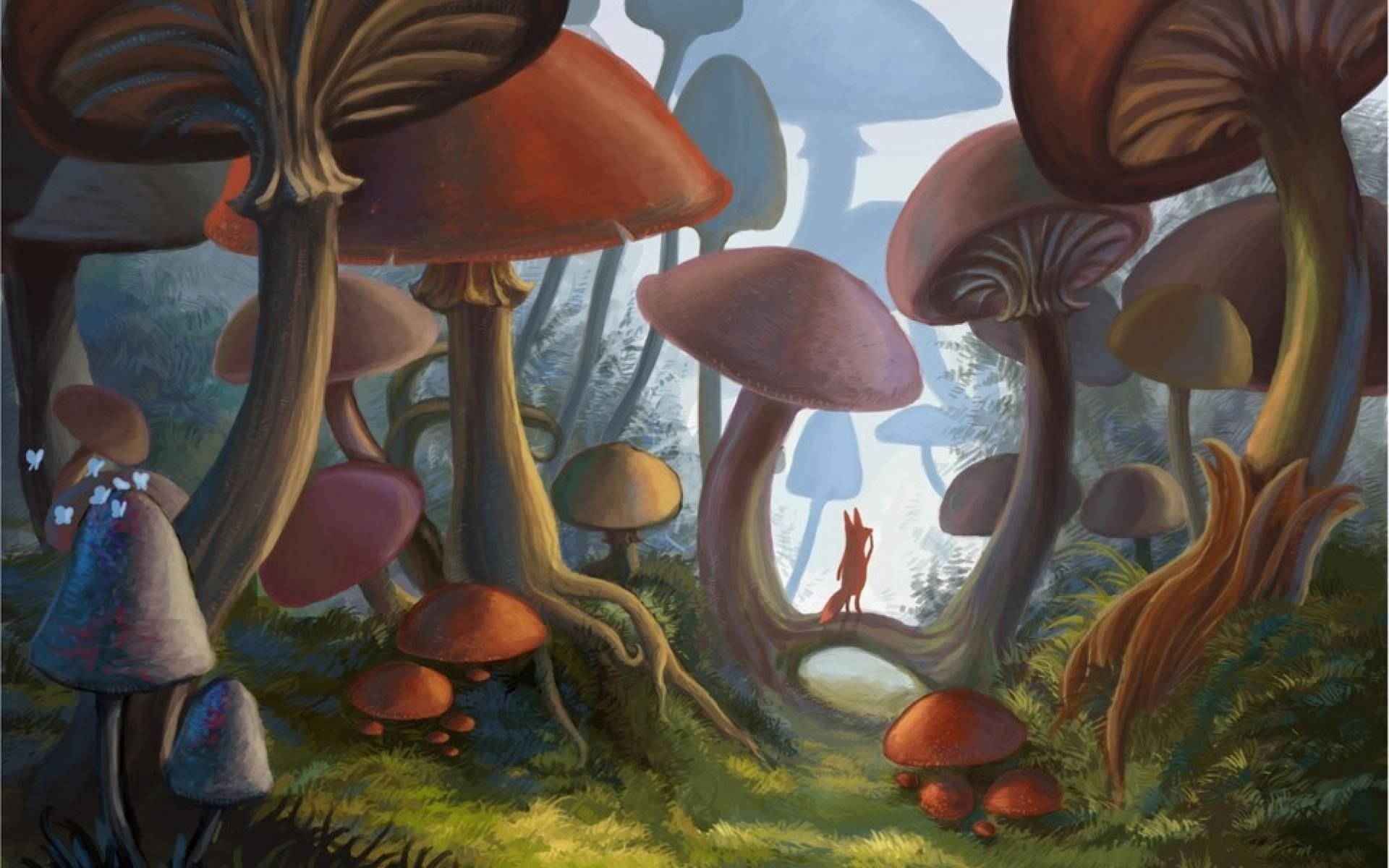 Рена грибов. Машрум Форест. Мухомор инди КИД. Волшебные грибы Алиса в стране чудес рисунки. Сказочные грибы.