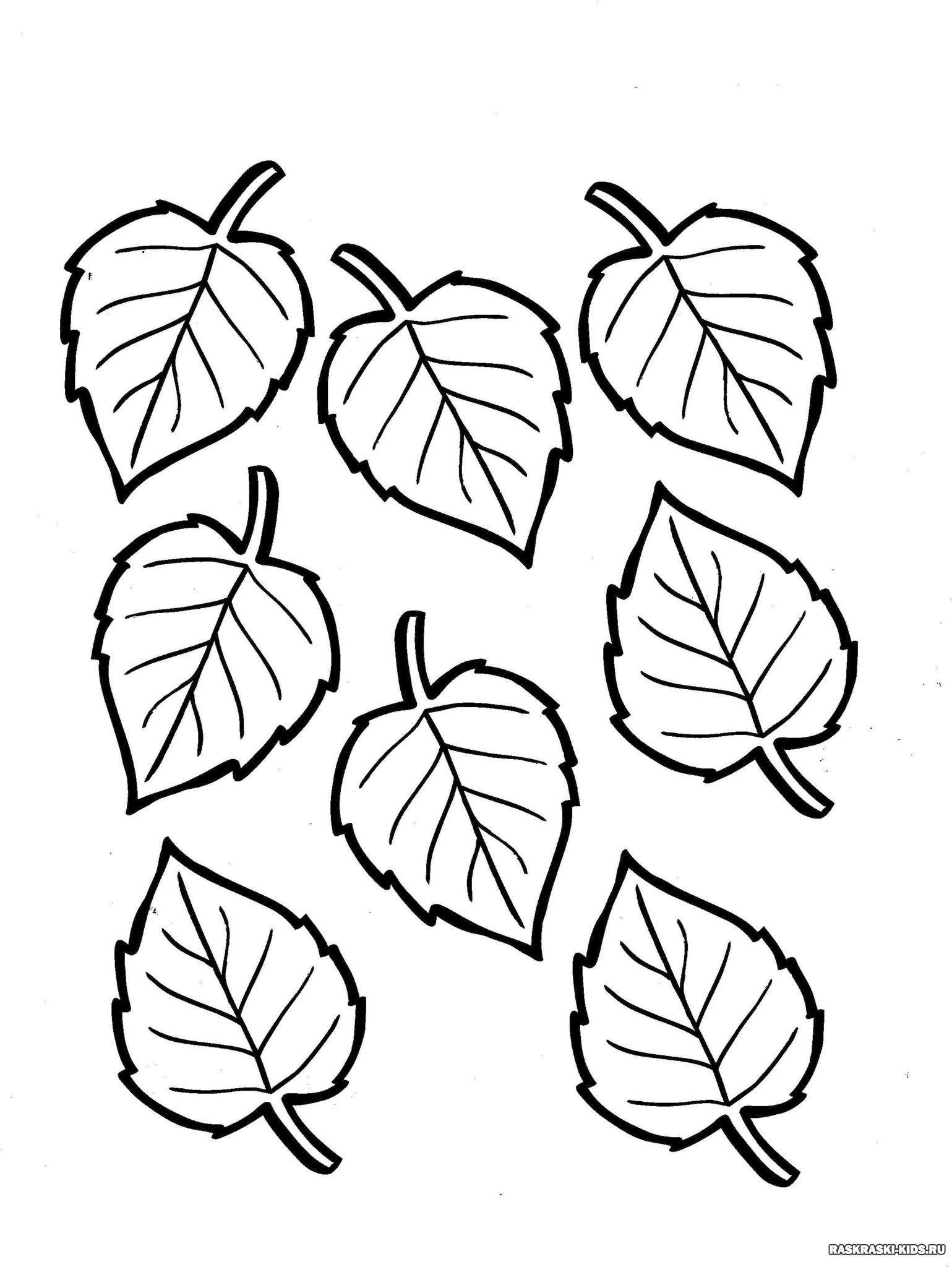 Листья лианы раскраска - 59 фото
