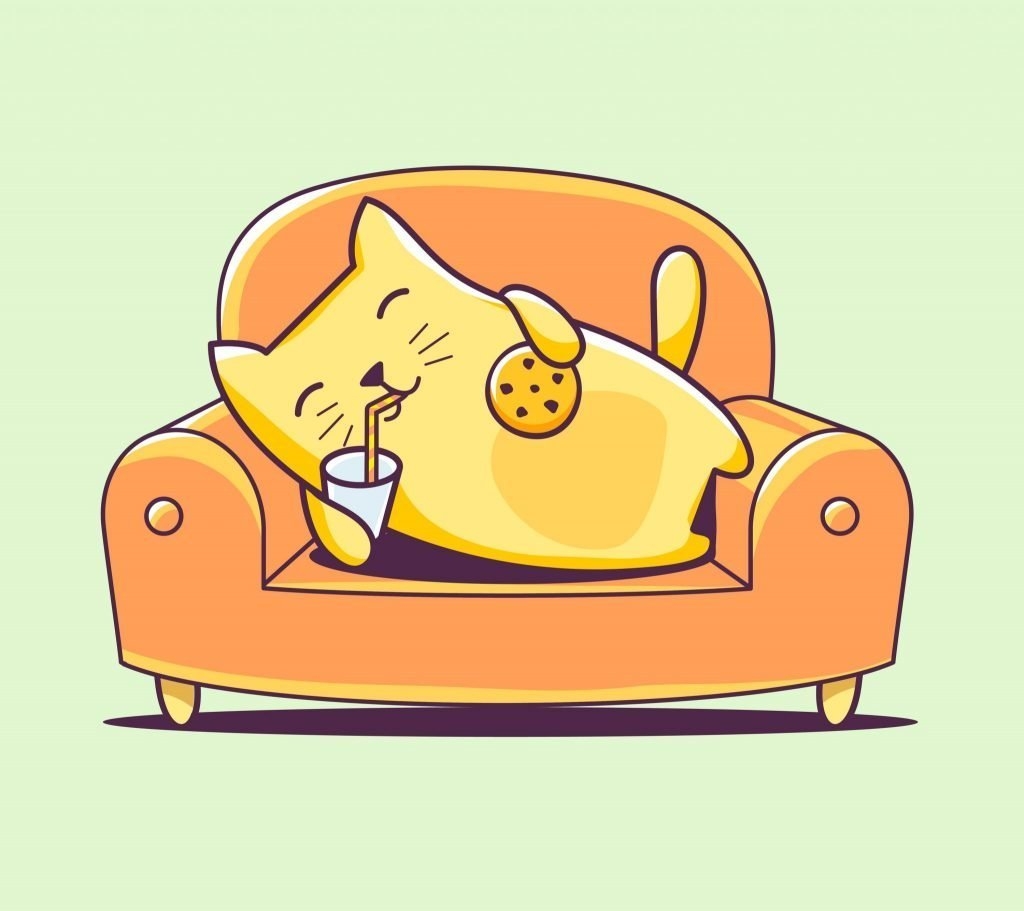 Картинки кошек на диване (39 фото)