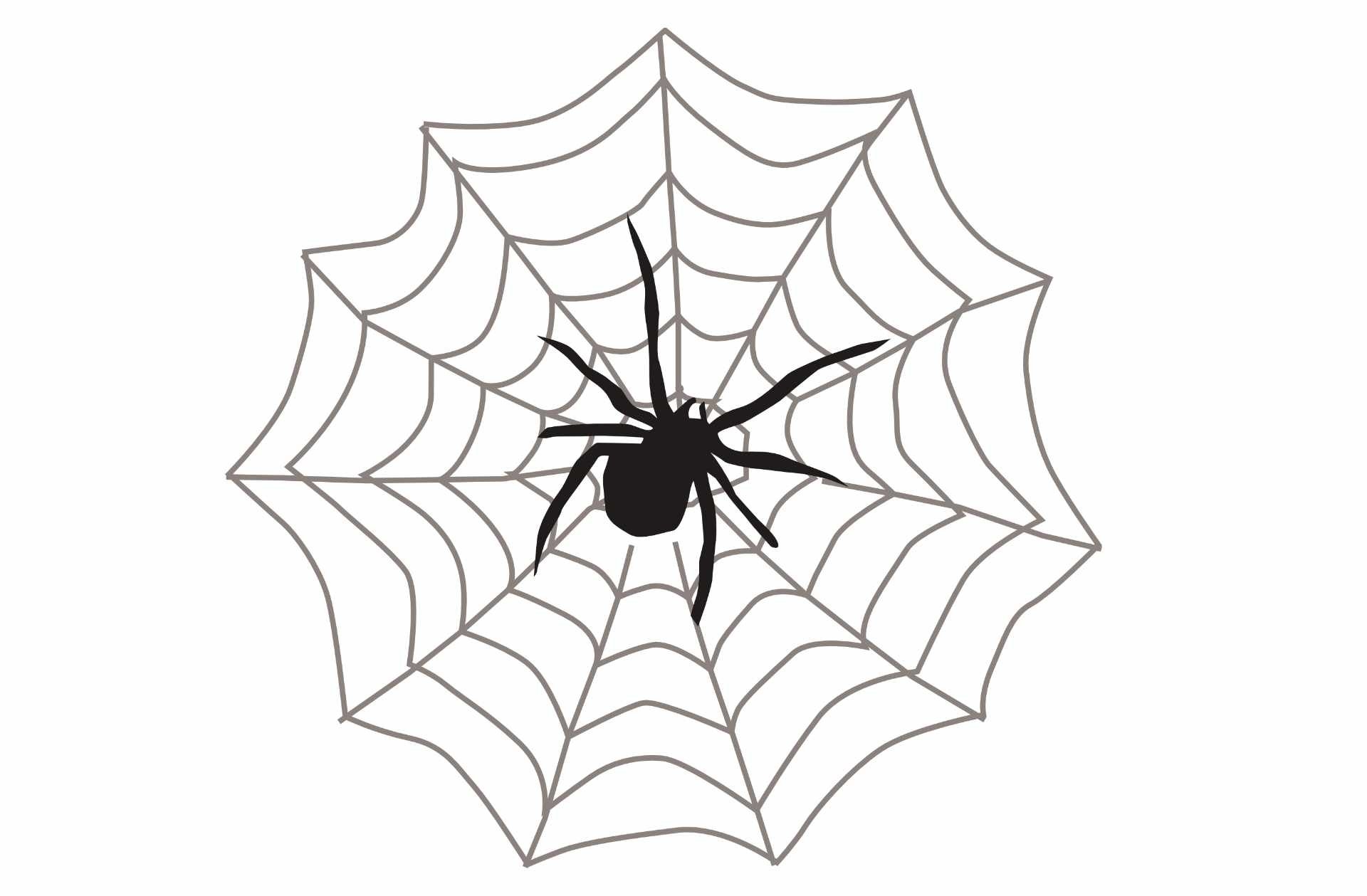 Паутина «Мрак», с пауком