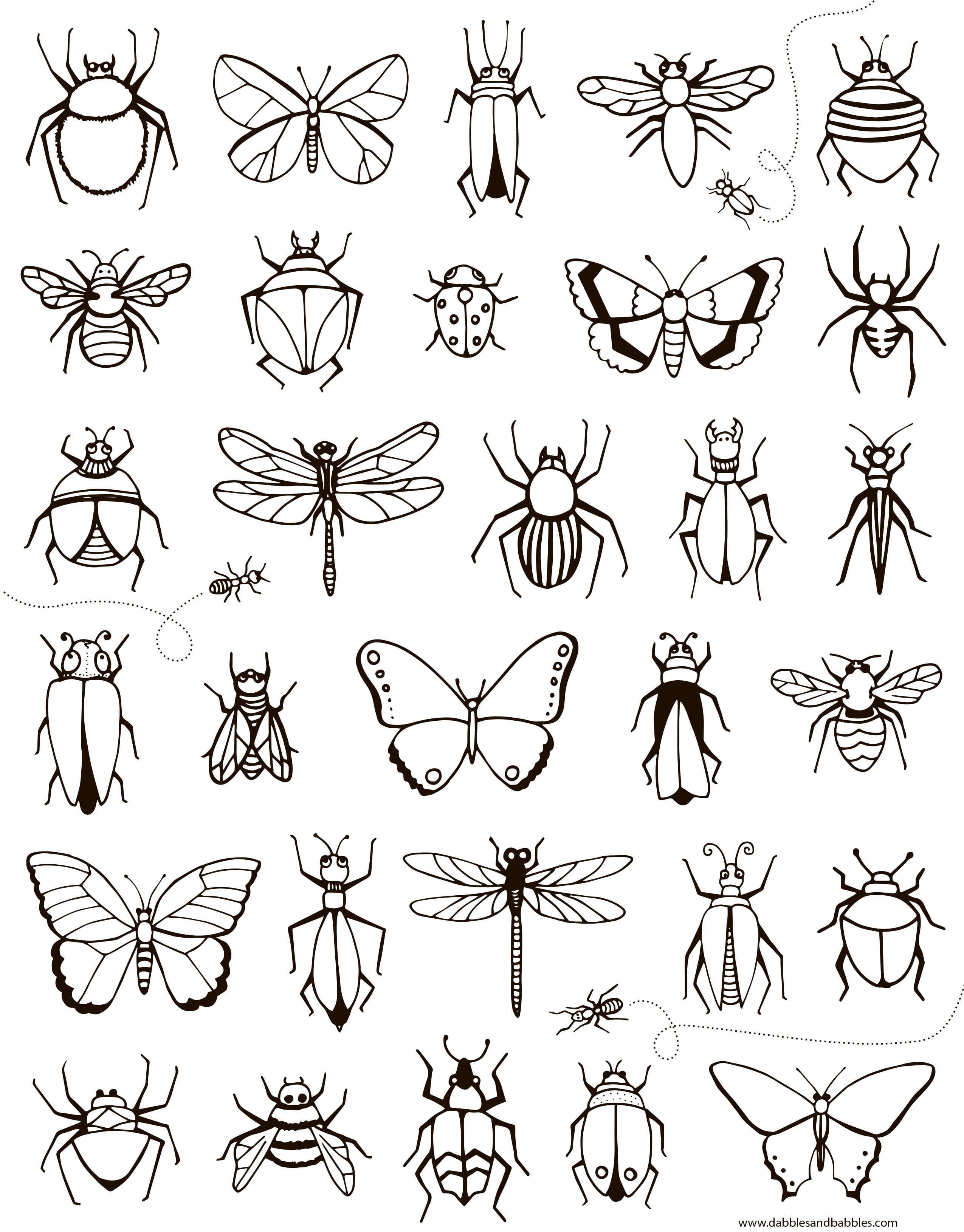 Раскраски на тему насекомые - 60 фото