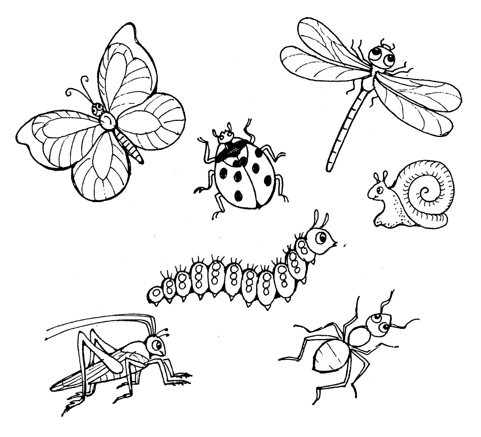 Изображения по запросу Раскраска насекомых