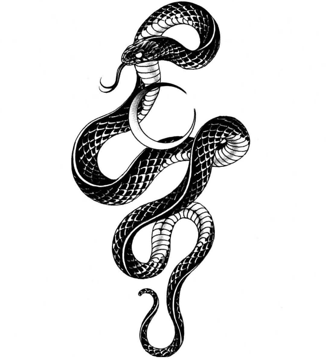 Тату змея эскиз и значение (40+ Фото)