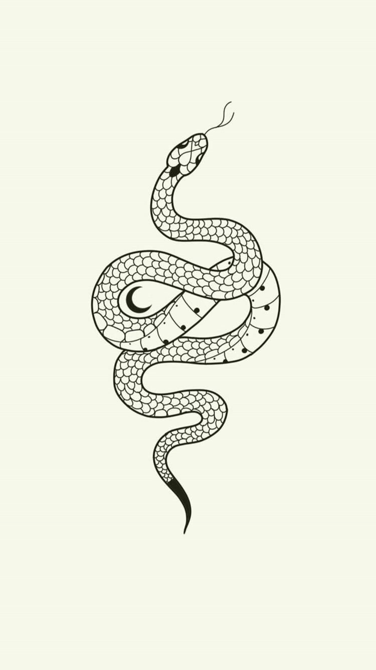 Стоковые иллюстрации по запросу Змея тату