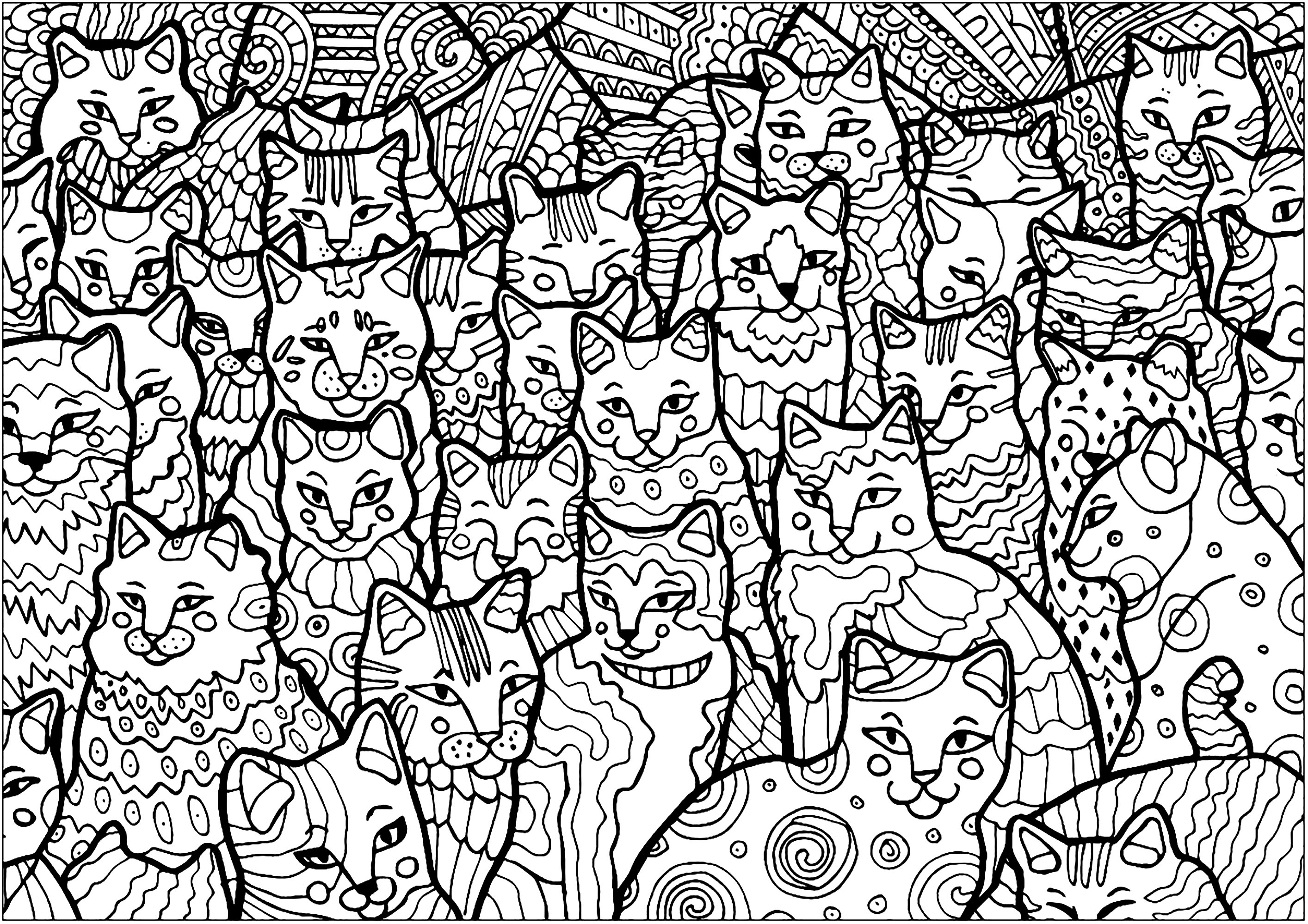 Породы кошек. Раскраска — купить книги на русском языке в Швеции на internat-mednogorsk.ru