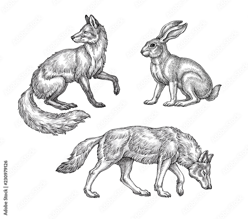 Рисунок детский волк и заяц (46 фото)