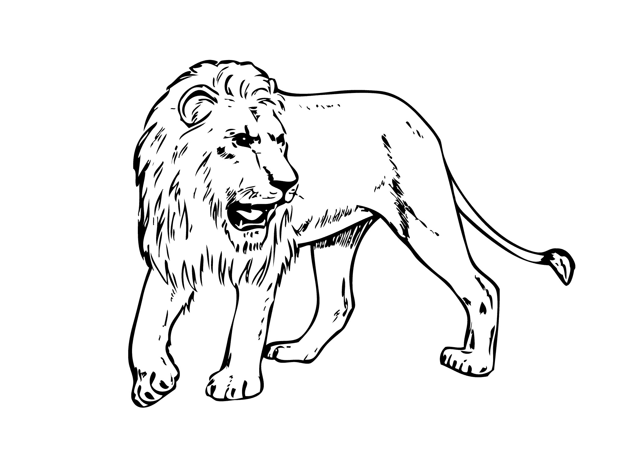 Мордочка льва