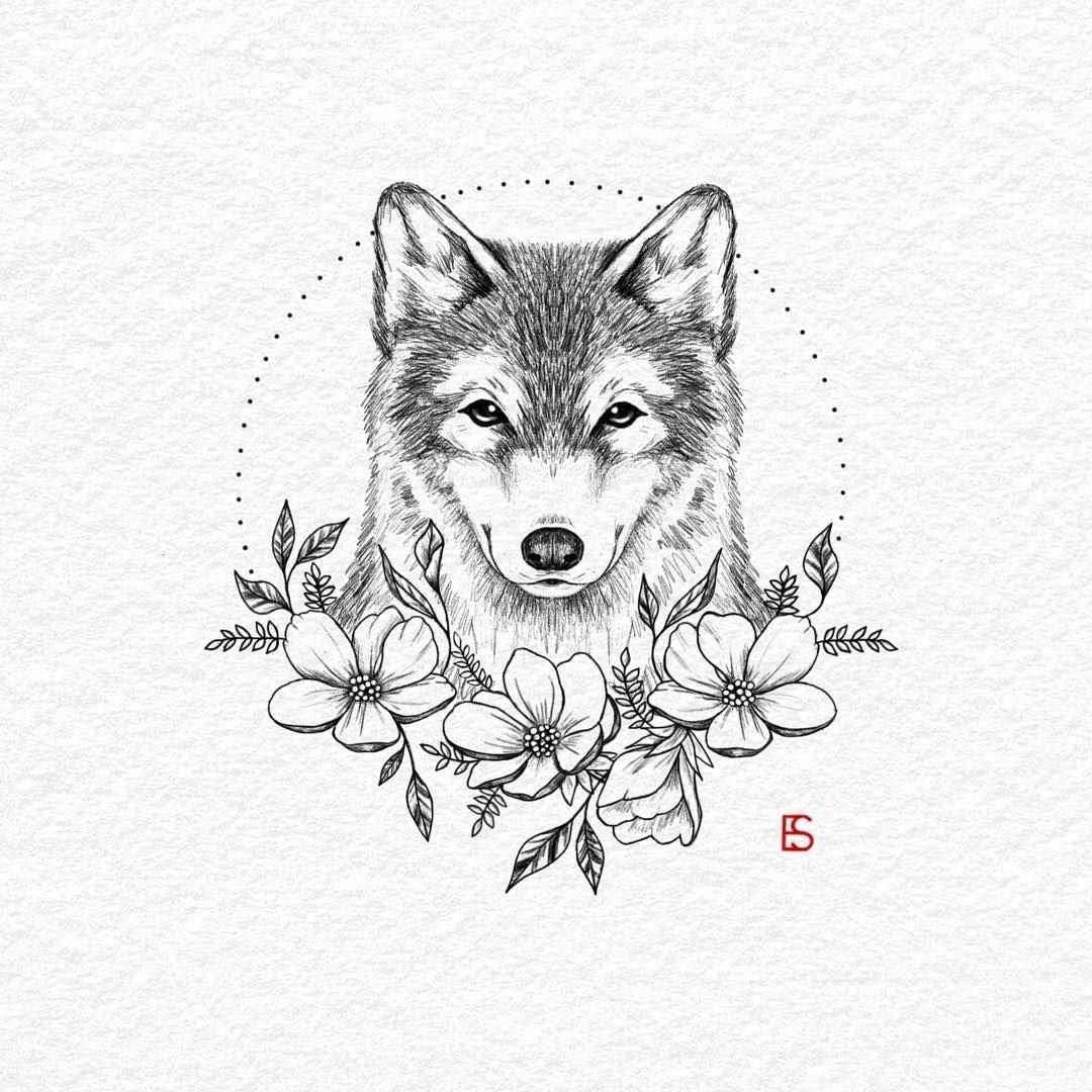 Лучшие идеи () доски «волки» | рисунки, рисунки животных, иллюстрации