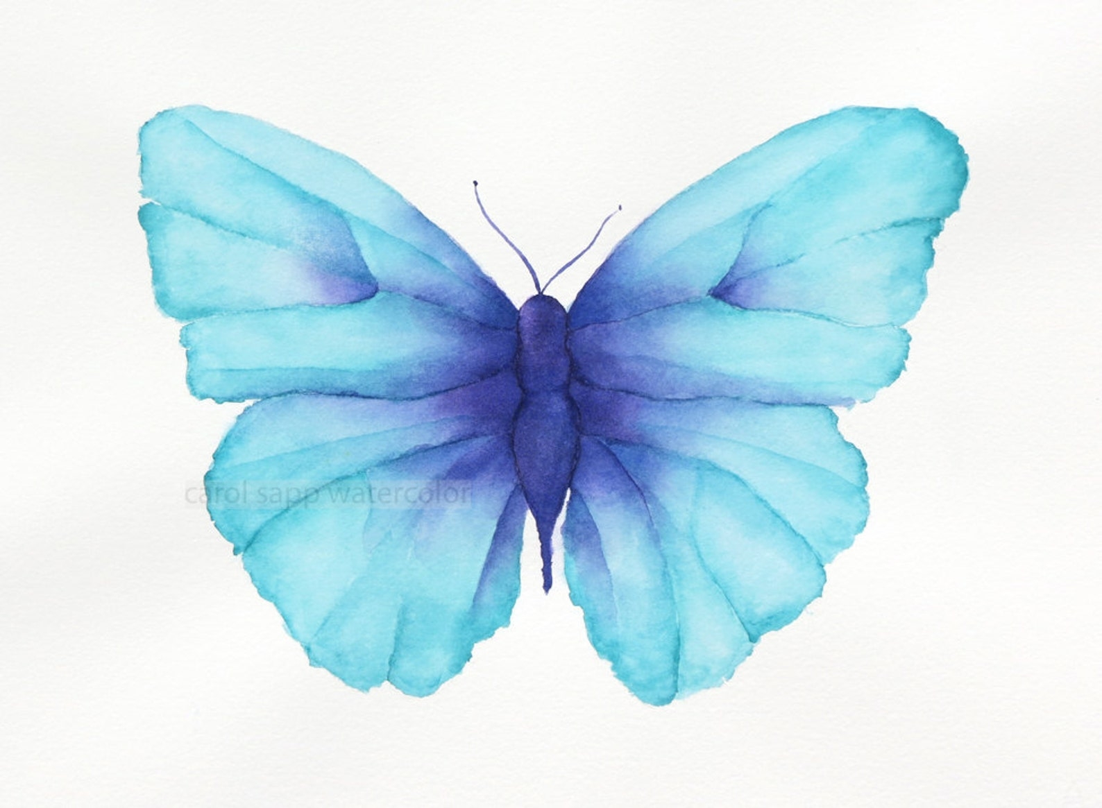 Розово голубая бабочка. Голубая бабочка акварель. Бирюзовые бабочки. Бабочки бирюзовые для печати. Бабочка рисунок.
