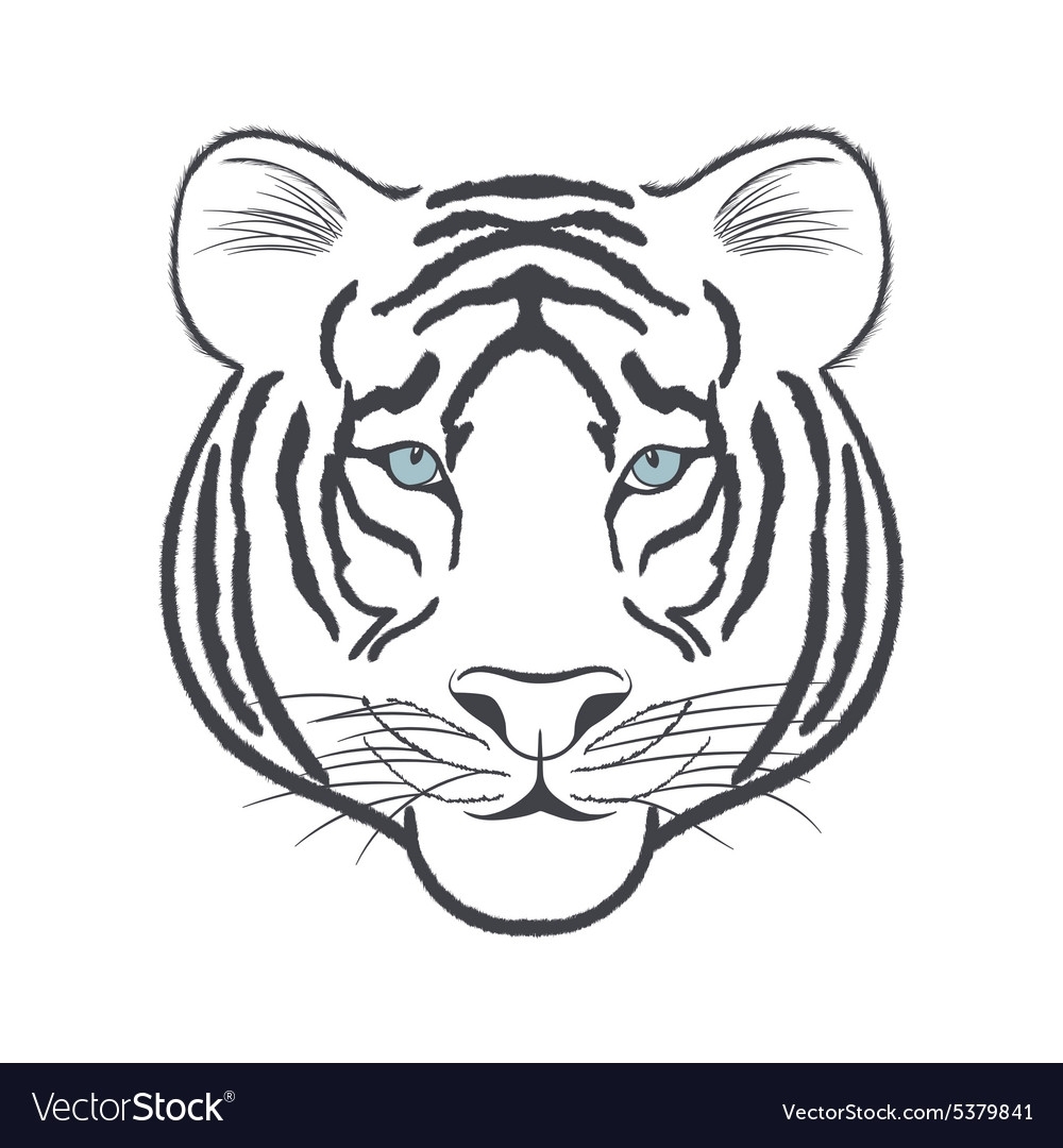 «Антистресс тигр» скачать раскраски