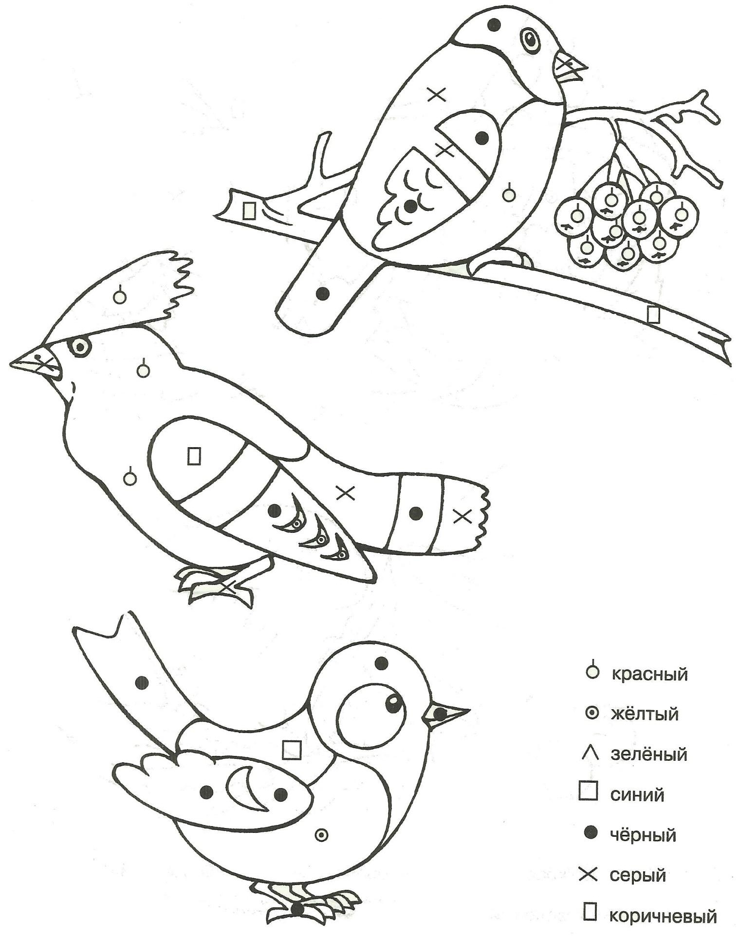 Раскраски птицы для детей всех возрастов