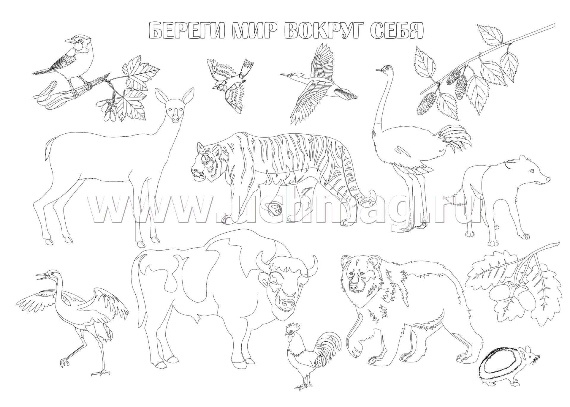 Плакат берегите животных карандашом (50 фото) » Рисунки для срисовки и не только