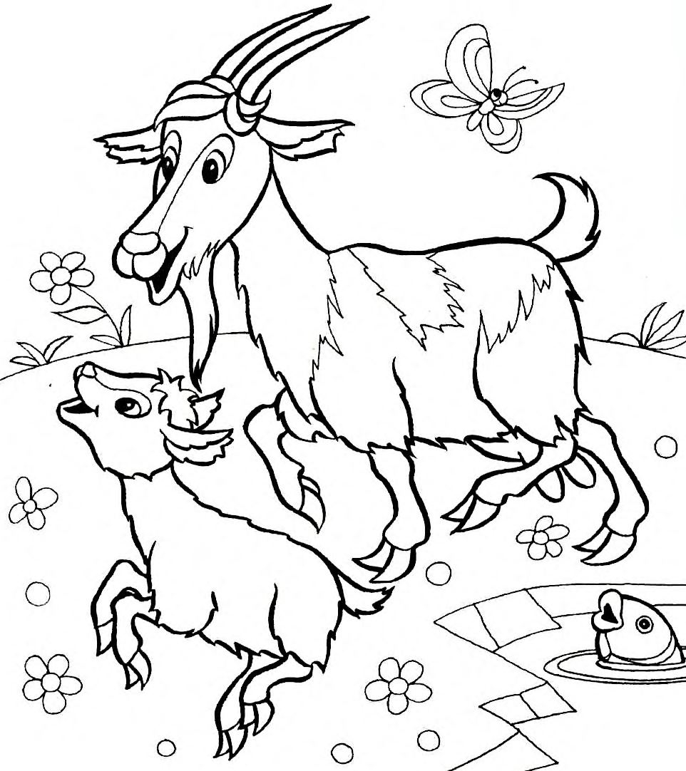 Раскраска коза и козленок – Математические картинки