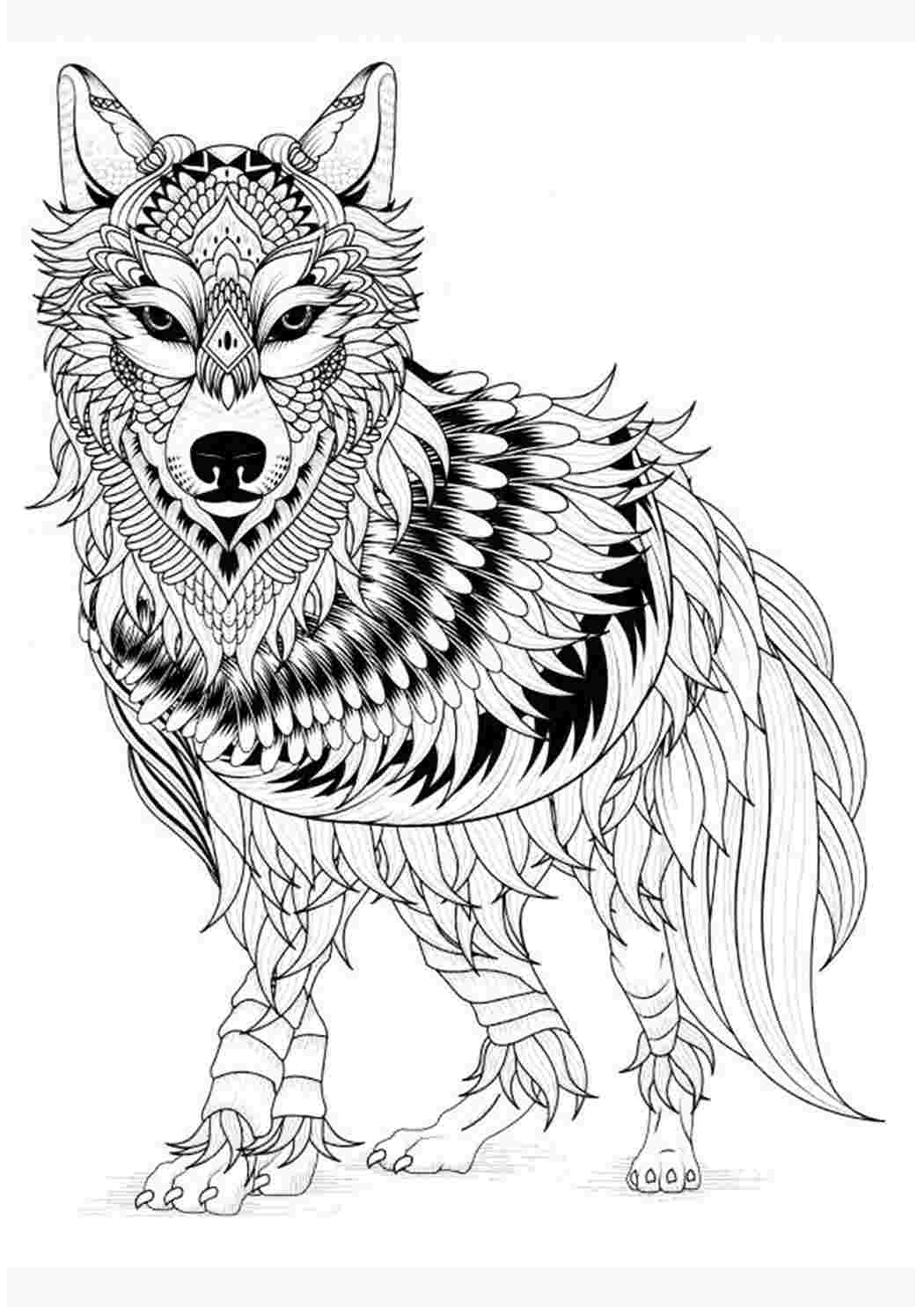 100 000 изображений по запросу Раскраска волк доступны в рамках роялти-фри лицензии