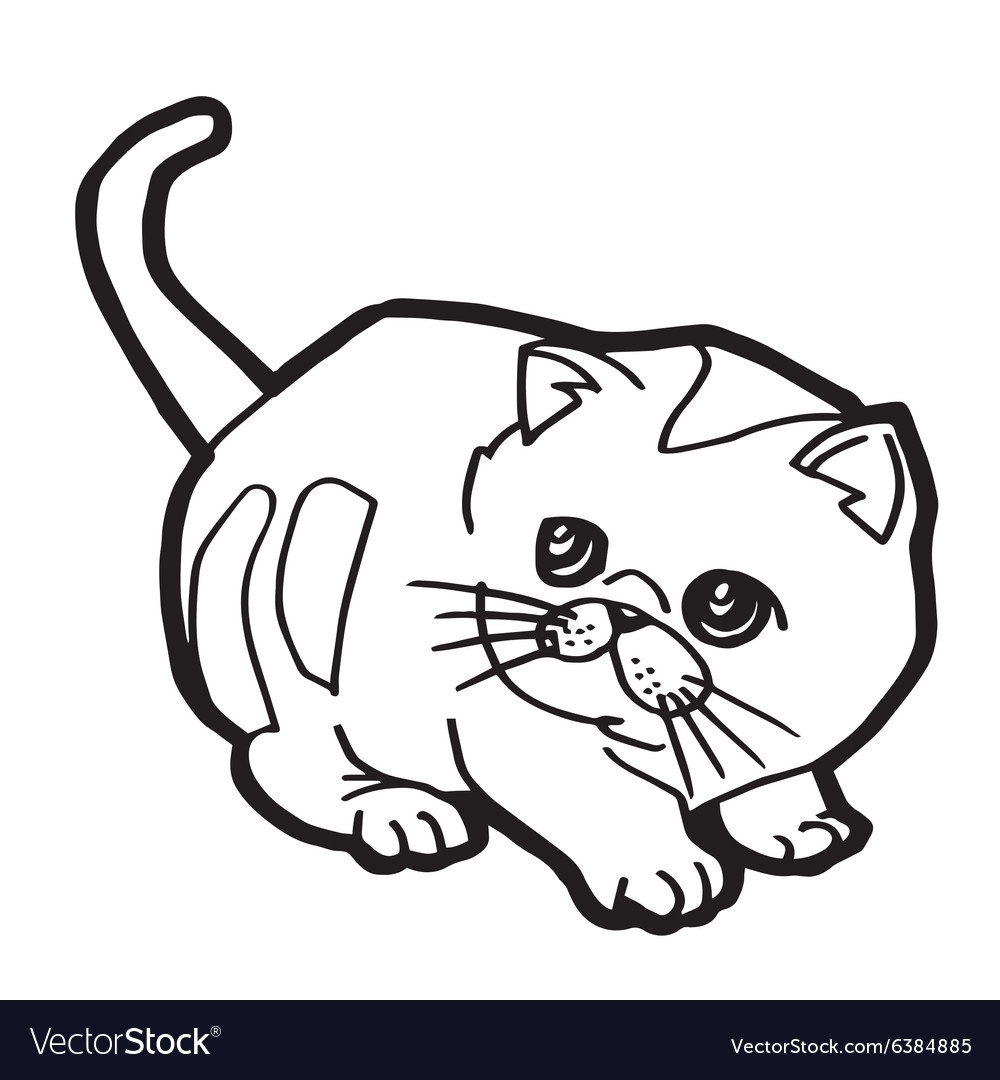 Кот вислоухий рисунок (45 фото) » Рисунки для срисовки и не только